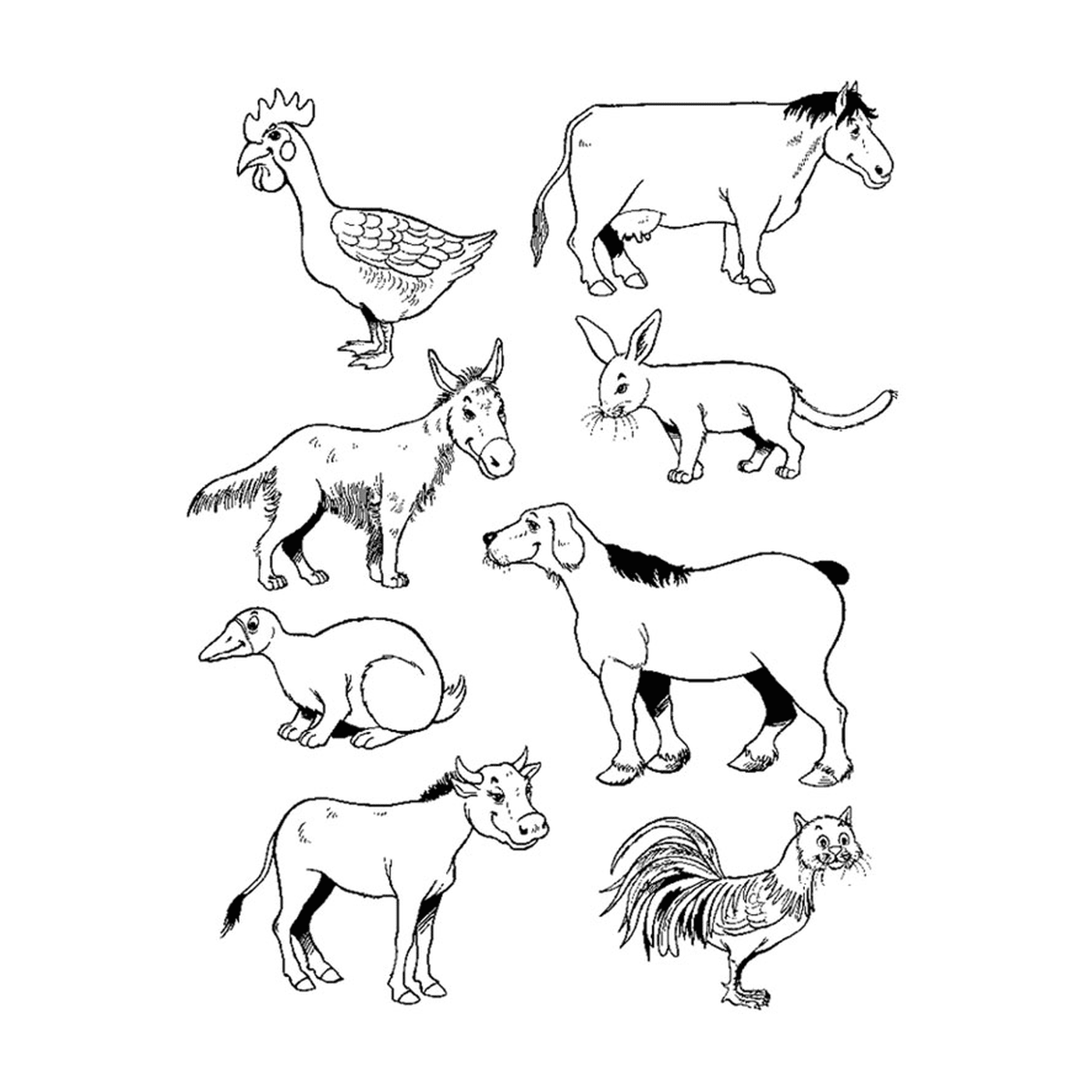  Un conjunto de animales de granja 
