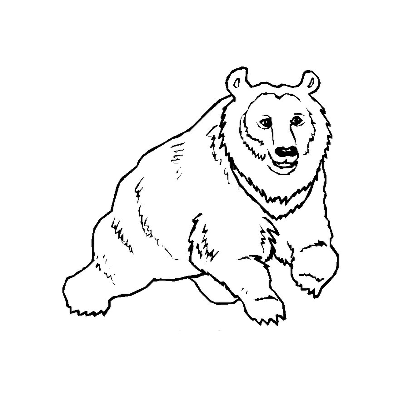  A bear 