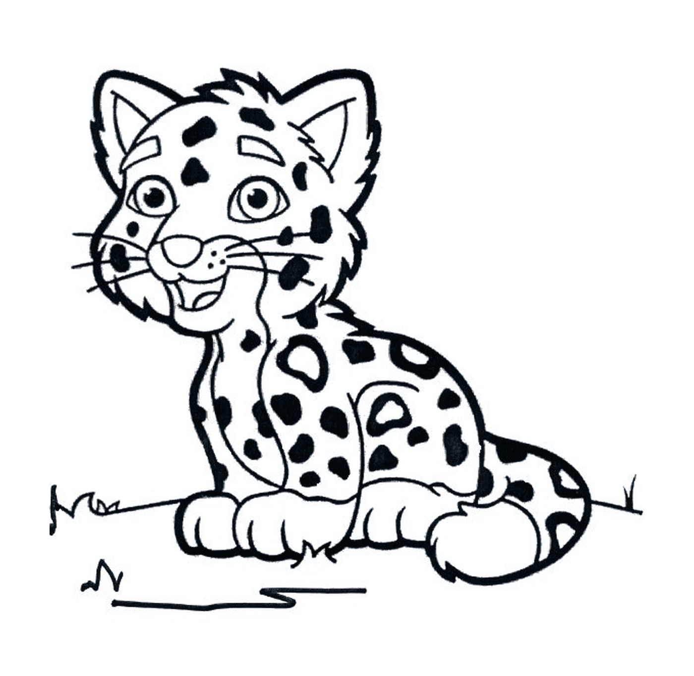  ein junger Leopard 