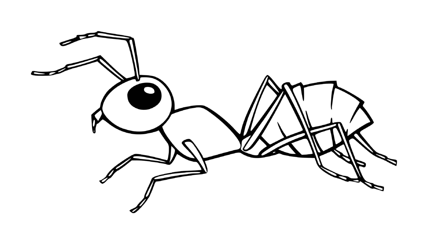 Hormiga negra sobre fondo blanco