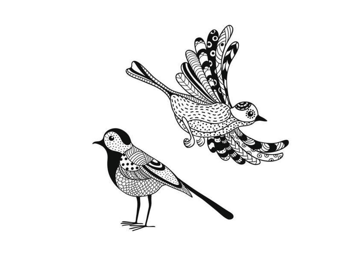  zwei schwarz-weiße Zeichnungen eines Vogels 