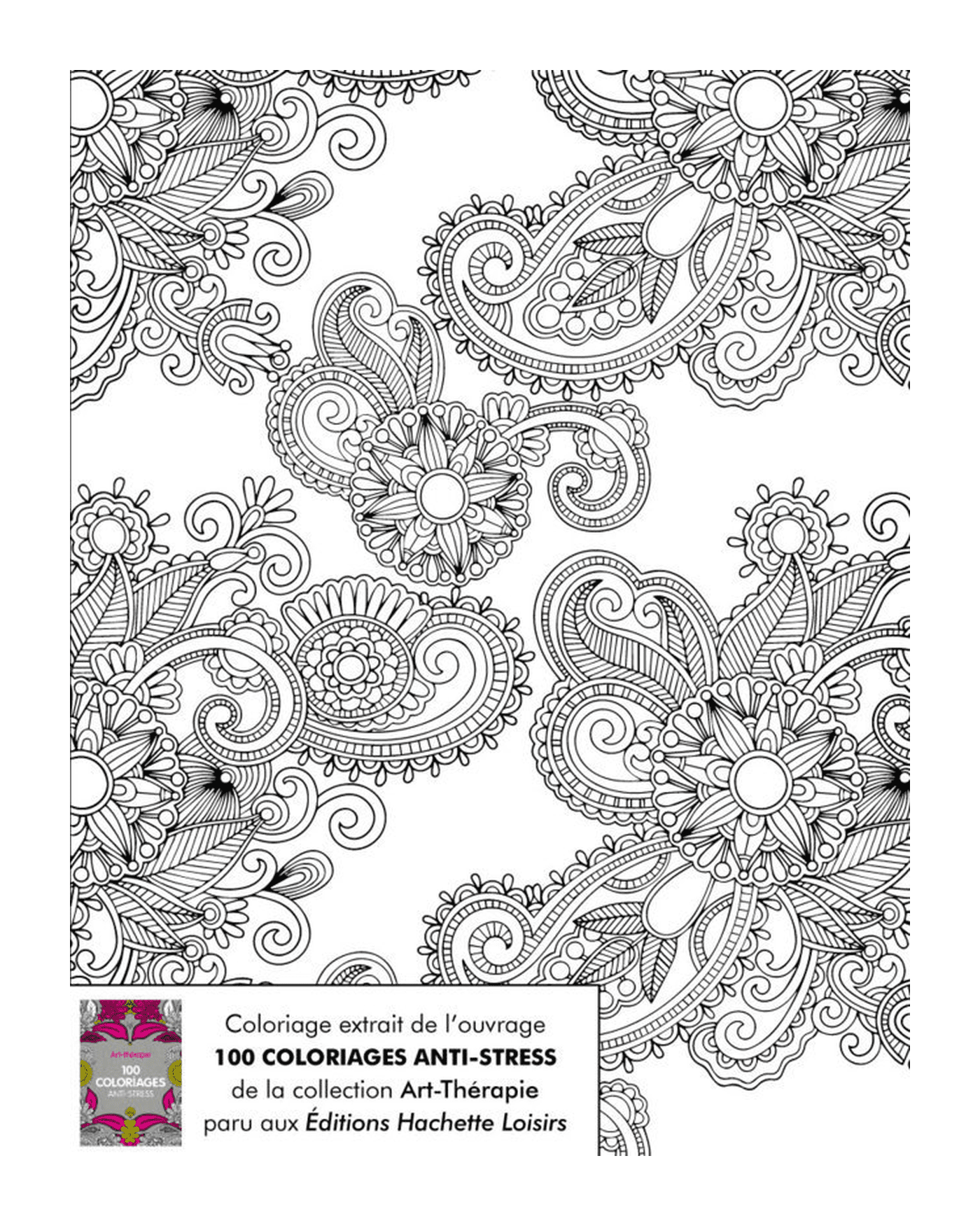  an image of a coloring book for adults 