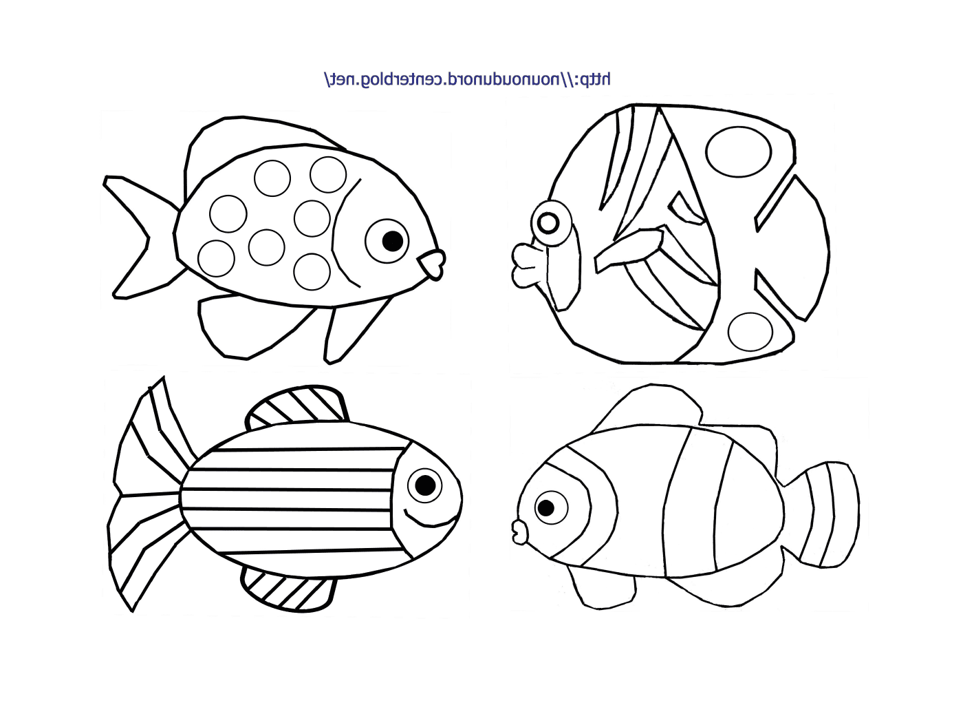  Gruppe von vier verschiedenen Fischen 