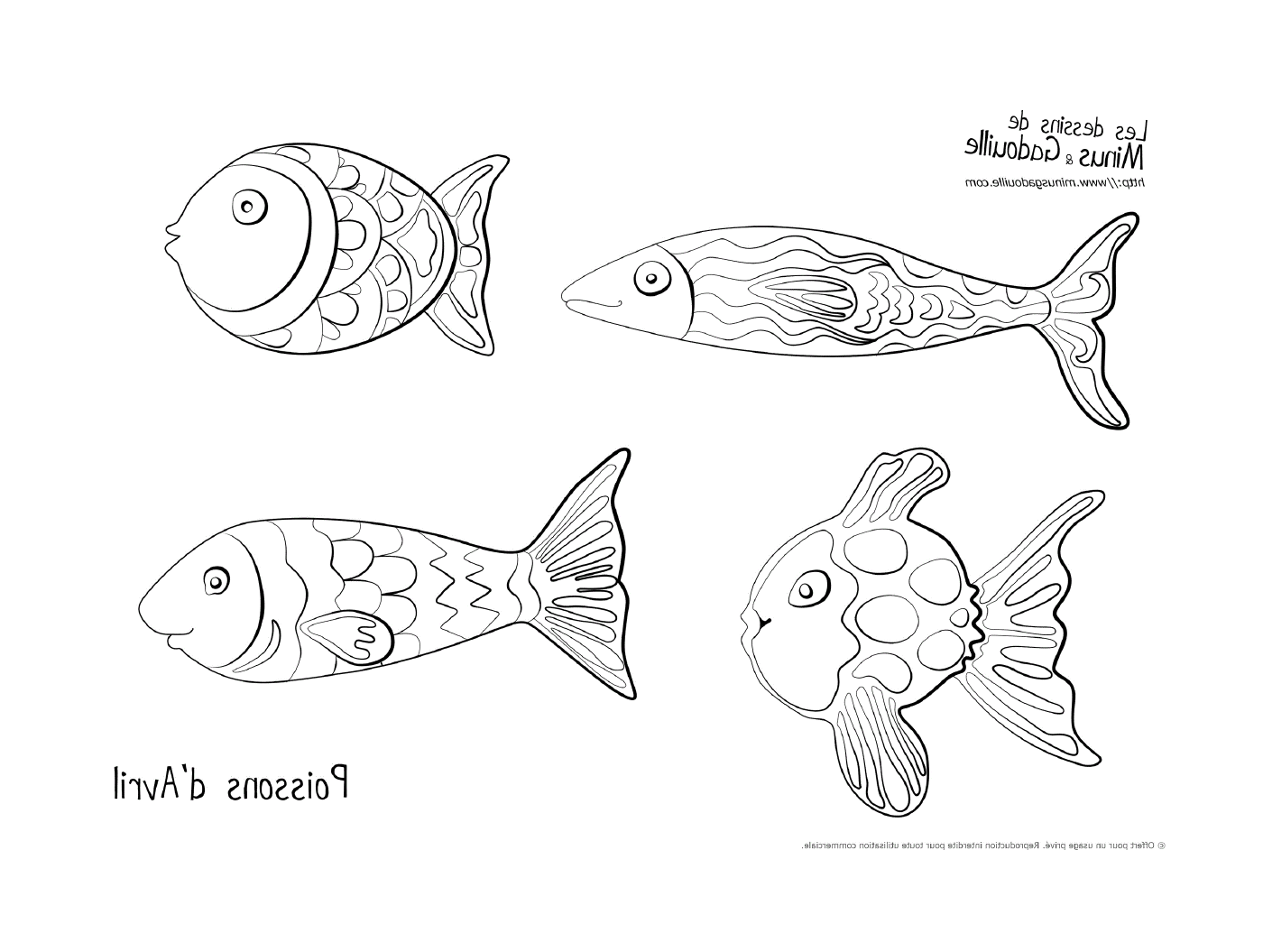  Four fish drawn 