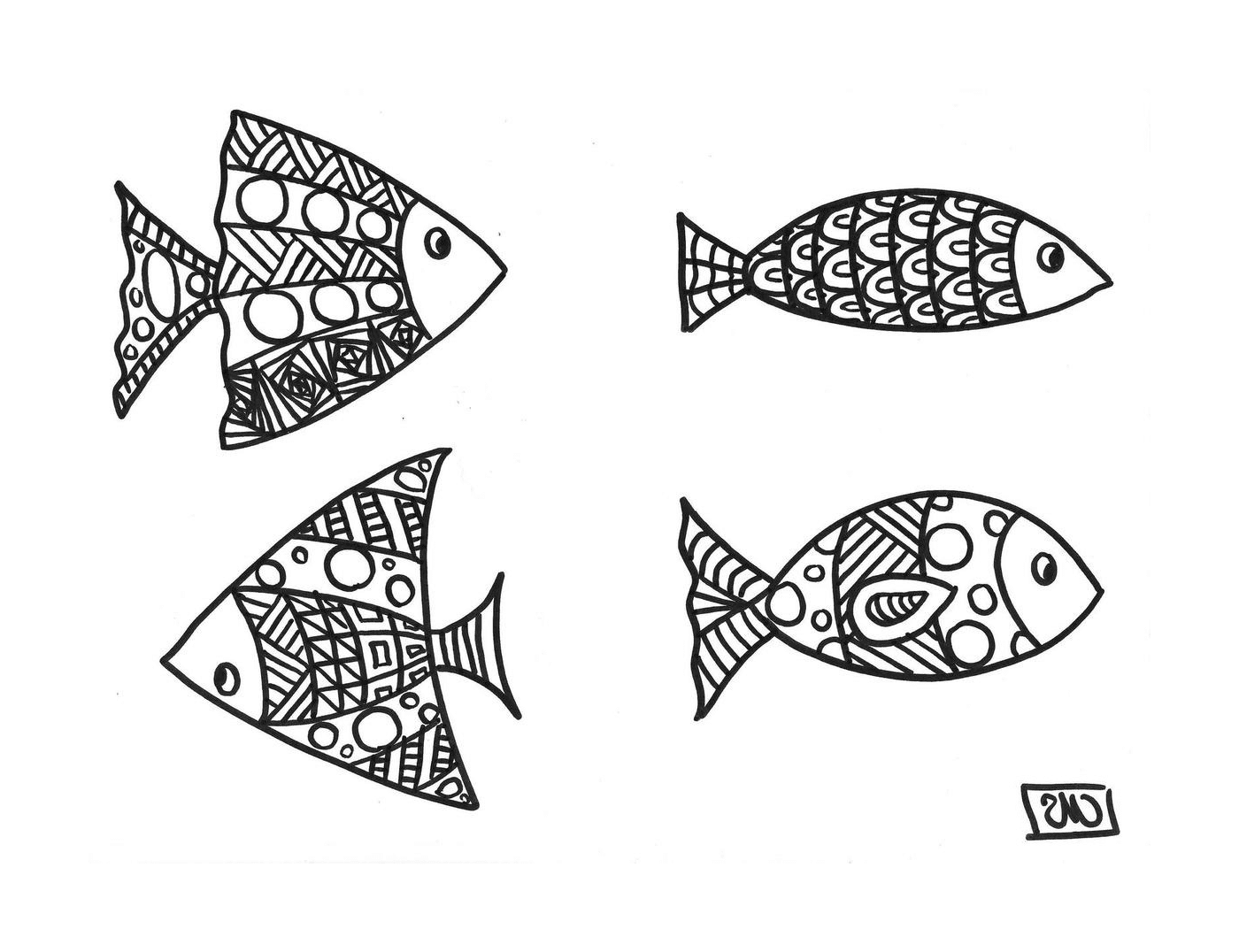  Vier Fische mit einzigartigen Mustern 