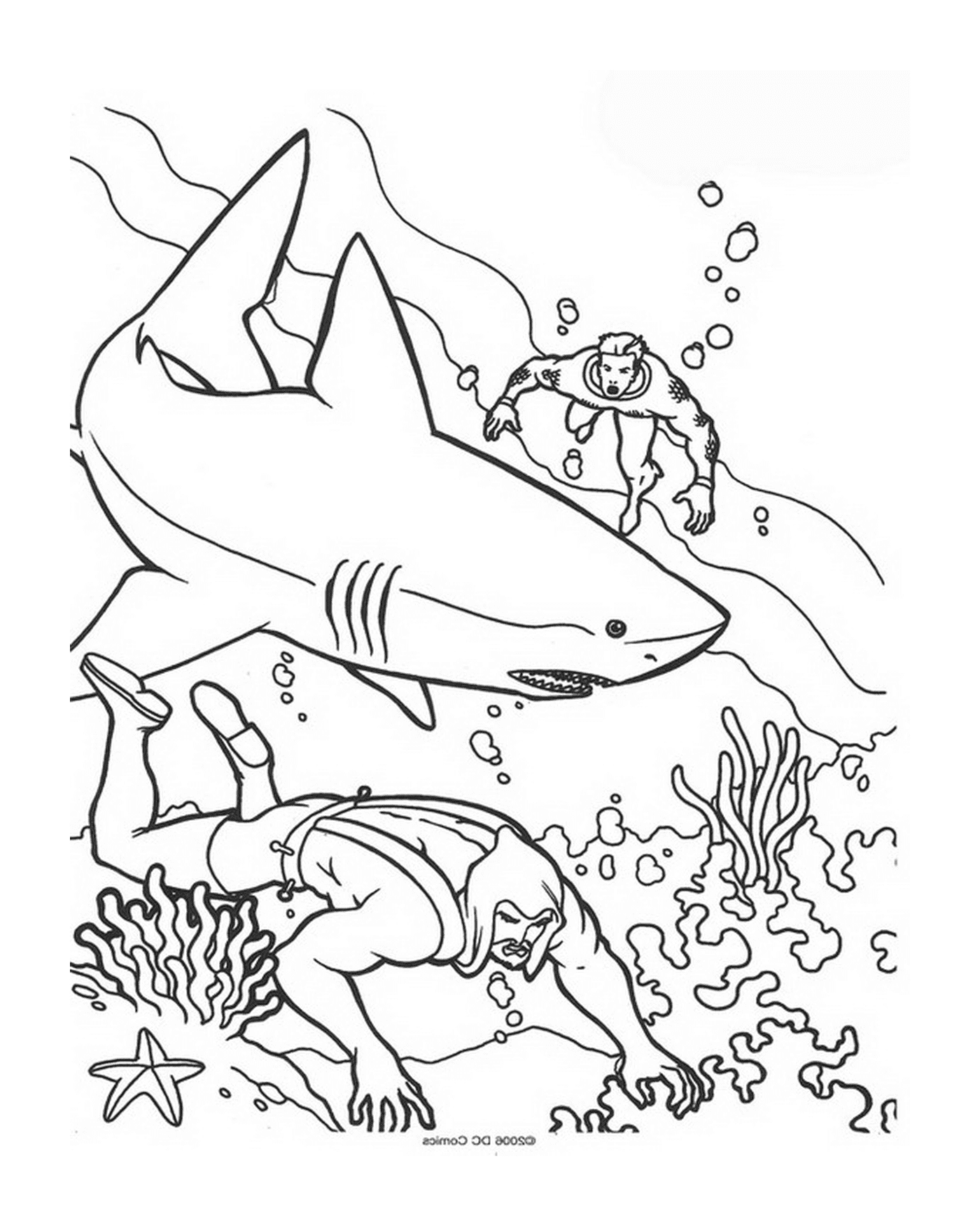  Un hombre y una mujer nadando en el océano con tiburones 