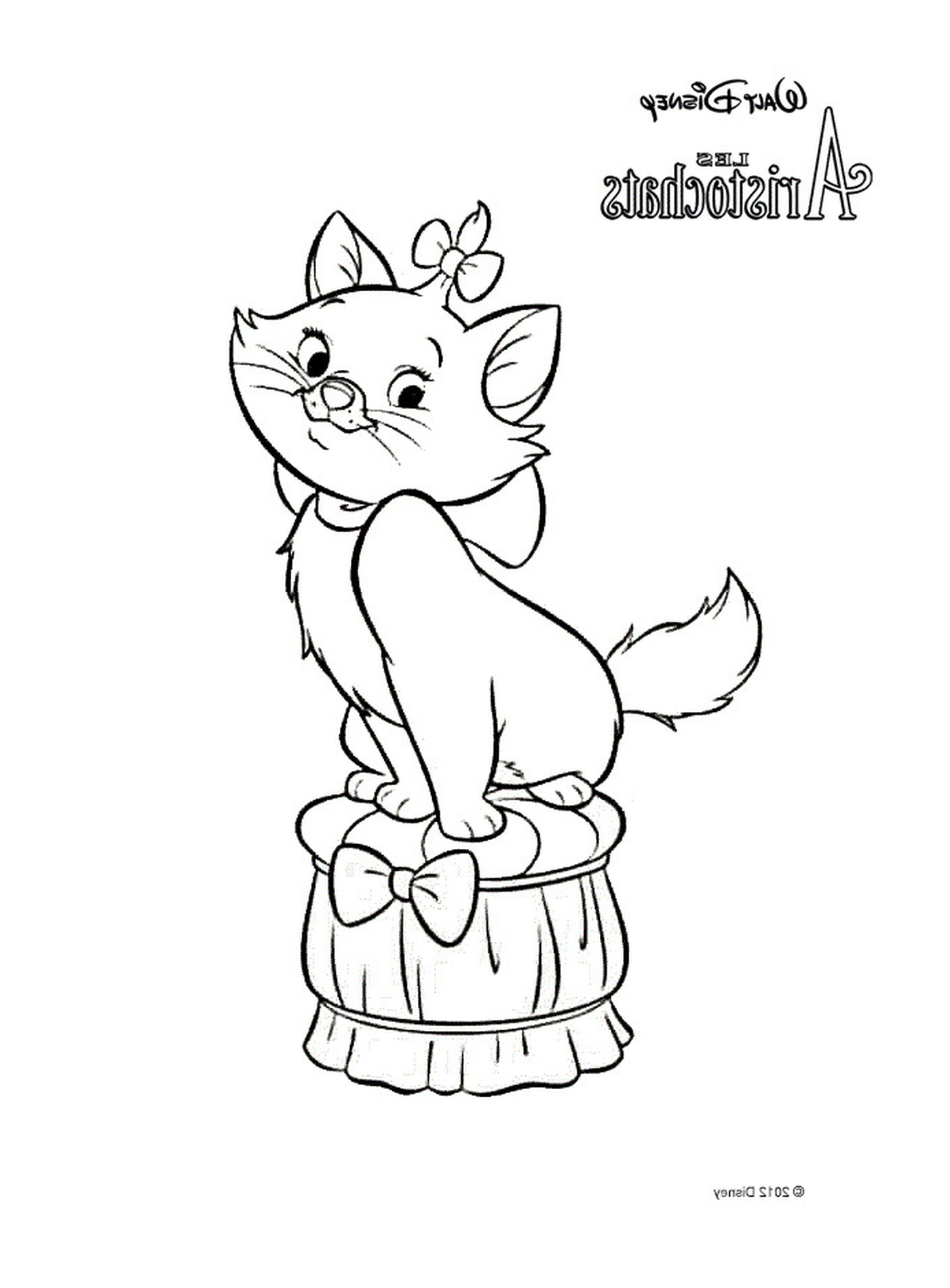  Un gato sentado en un barril 
