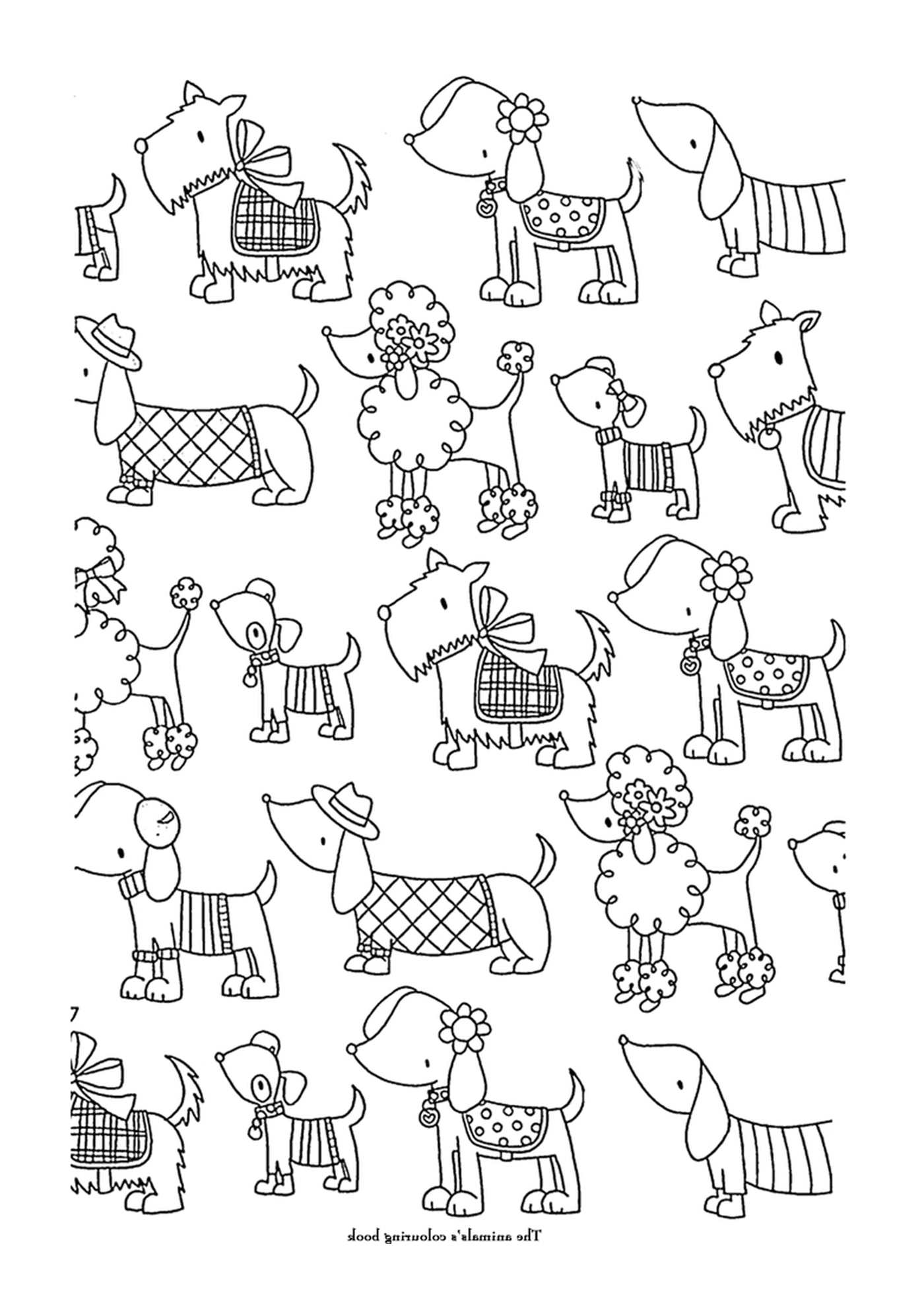  uno schema di cani vestiti 