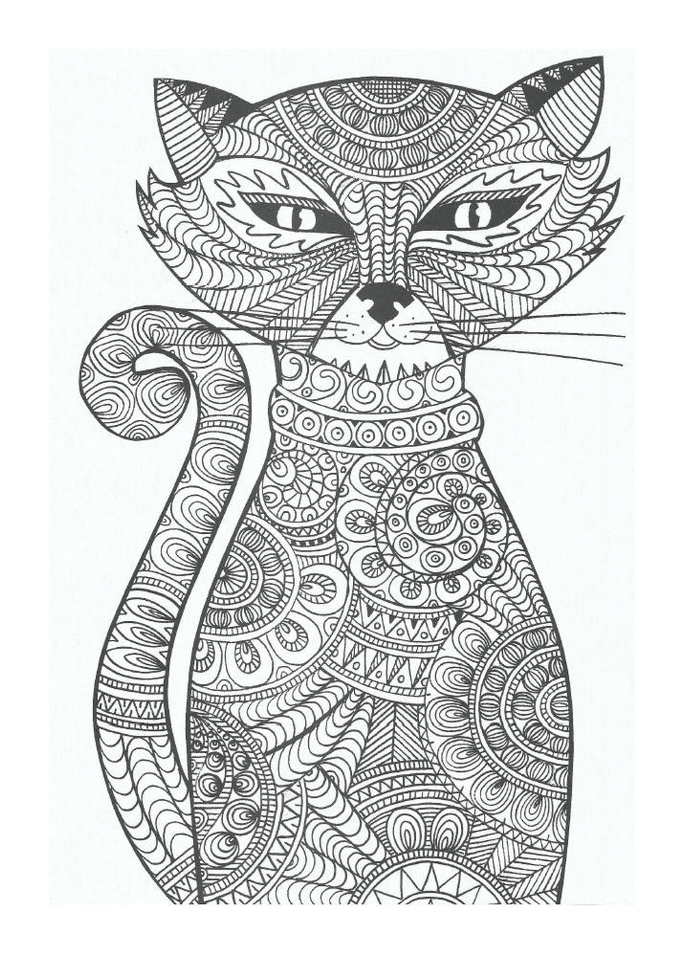  An adult cat with many patterns 