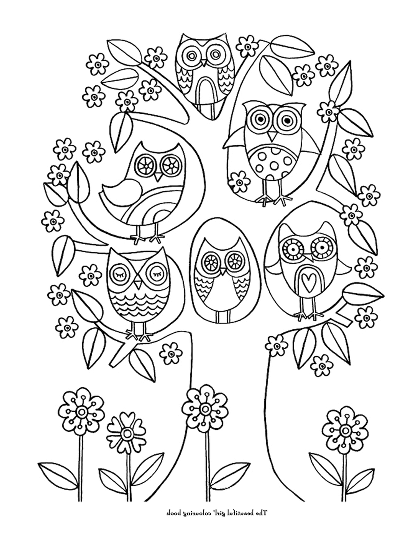  A group of owls on a tree branch 