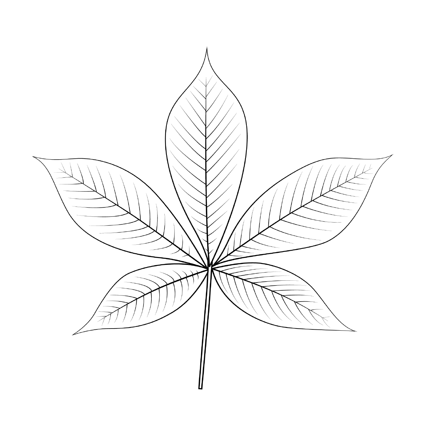  Ohio Buckeye Leaf 