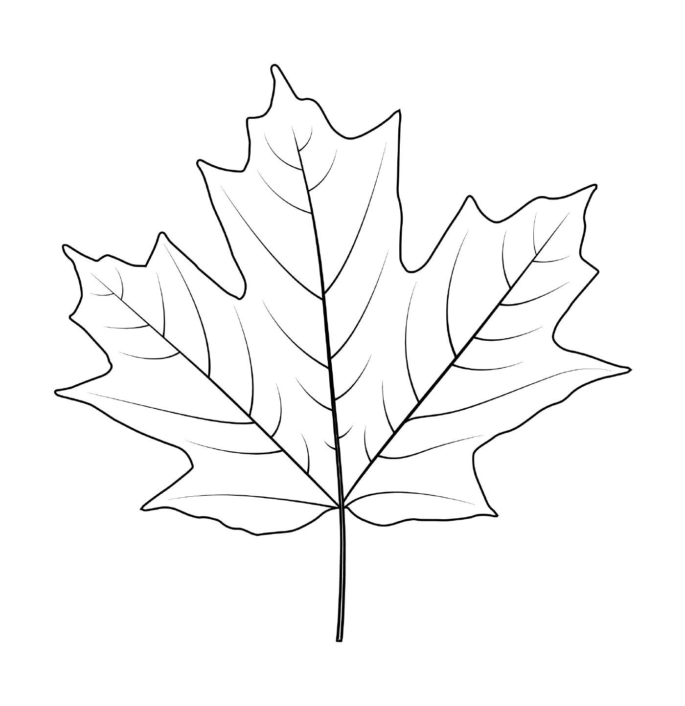  Silver maple leaf 