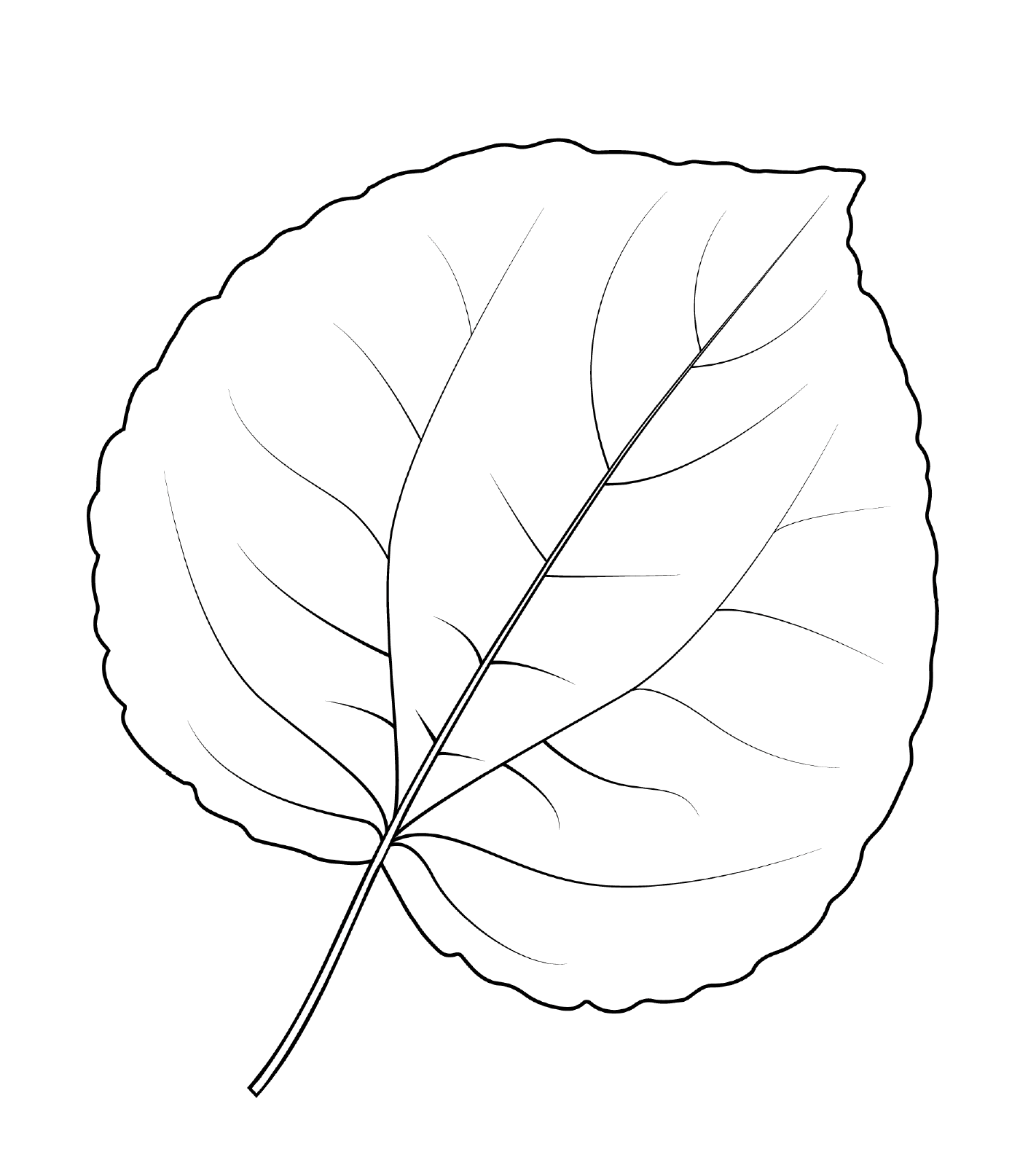  Шафт листья катсура 