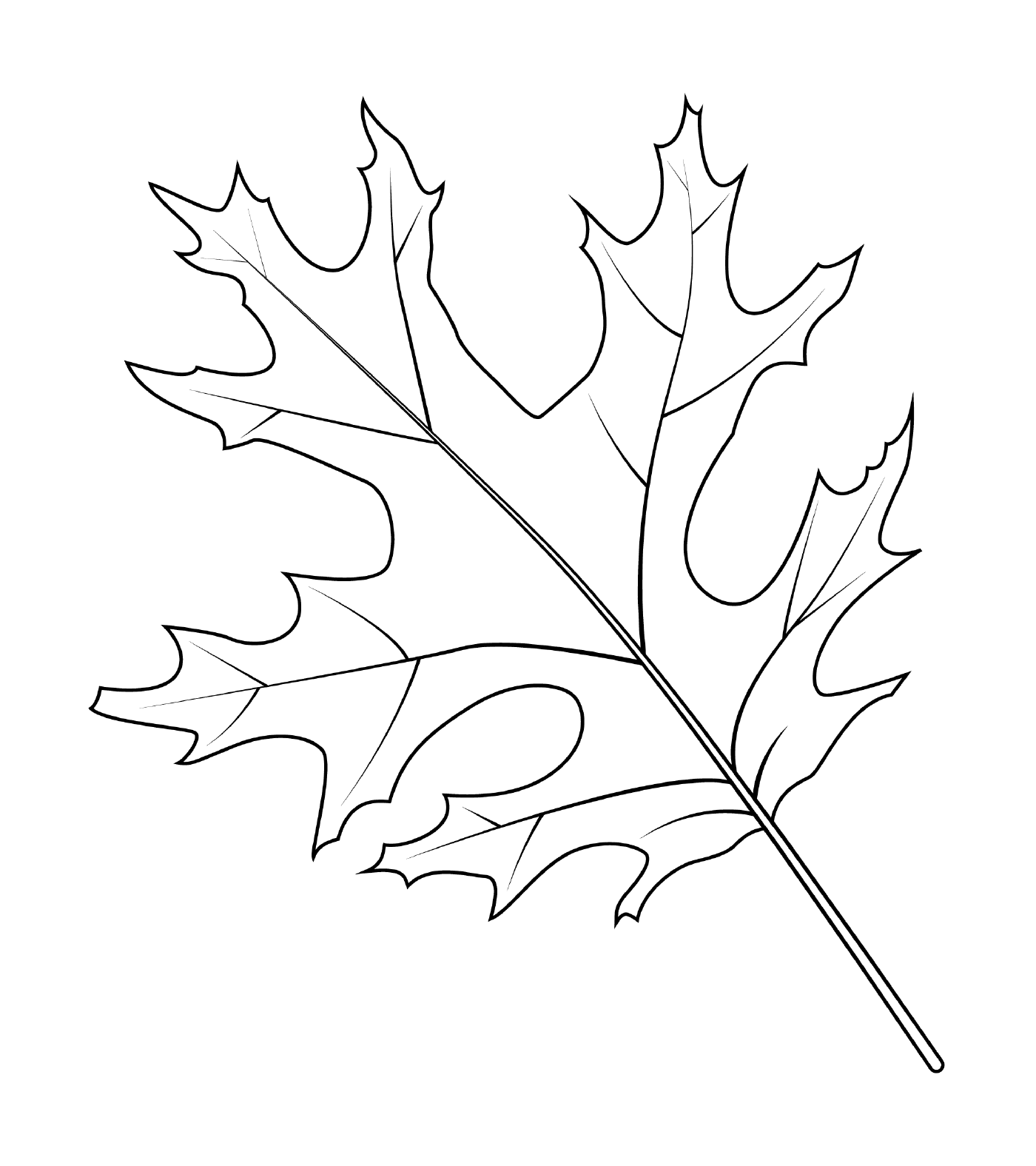  Scarlet oak leaf 