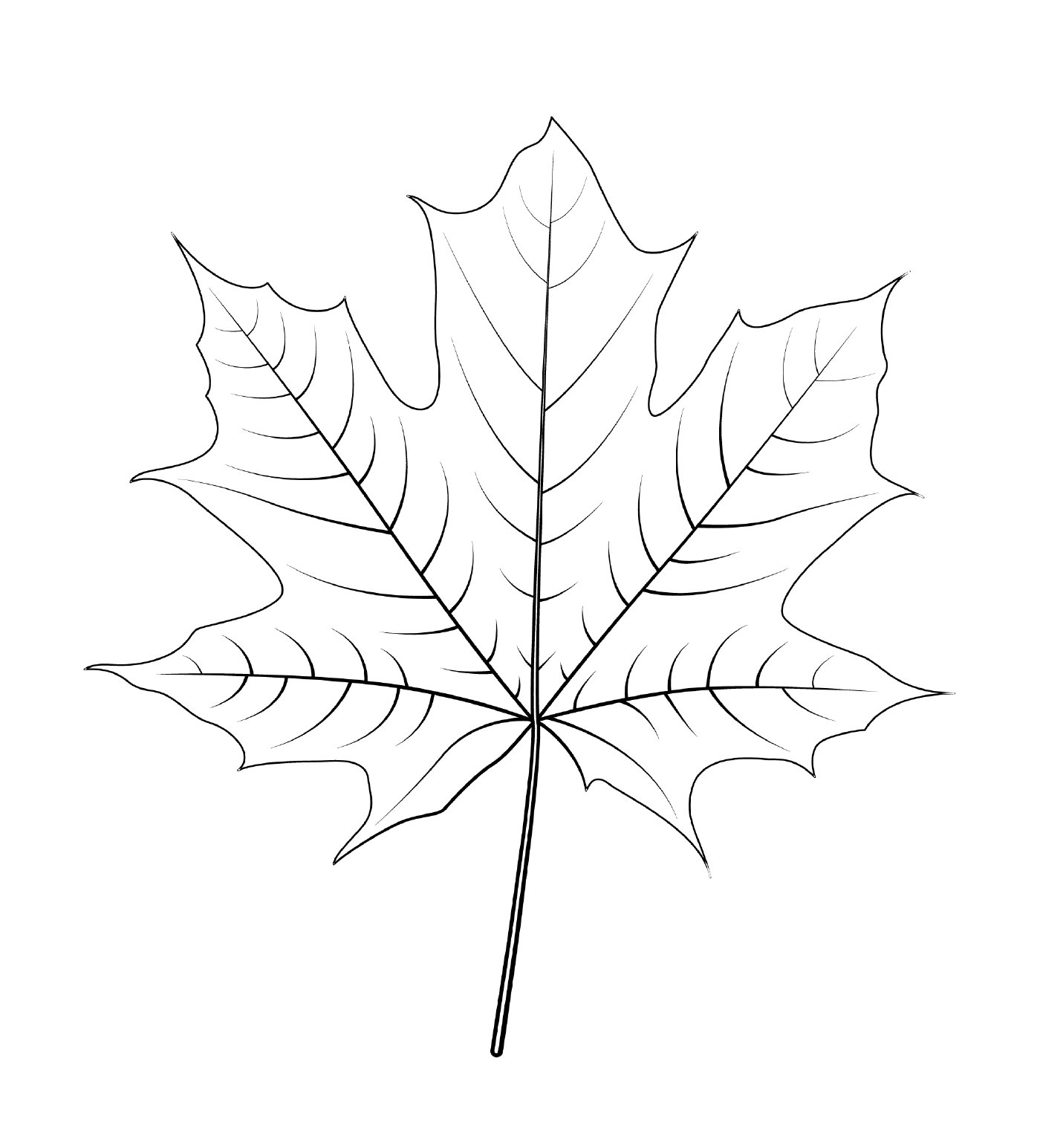 Норвежский кленовый лист 