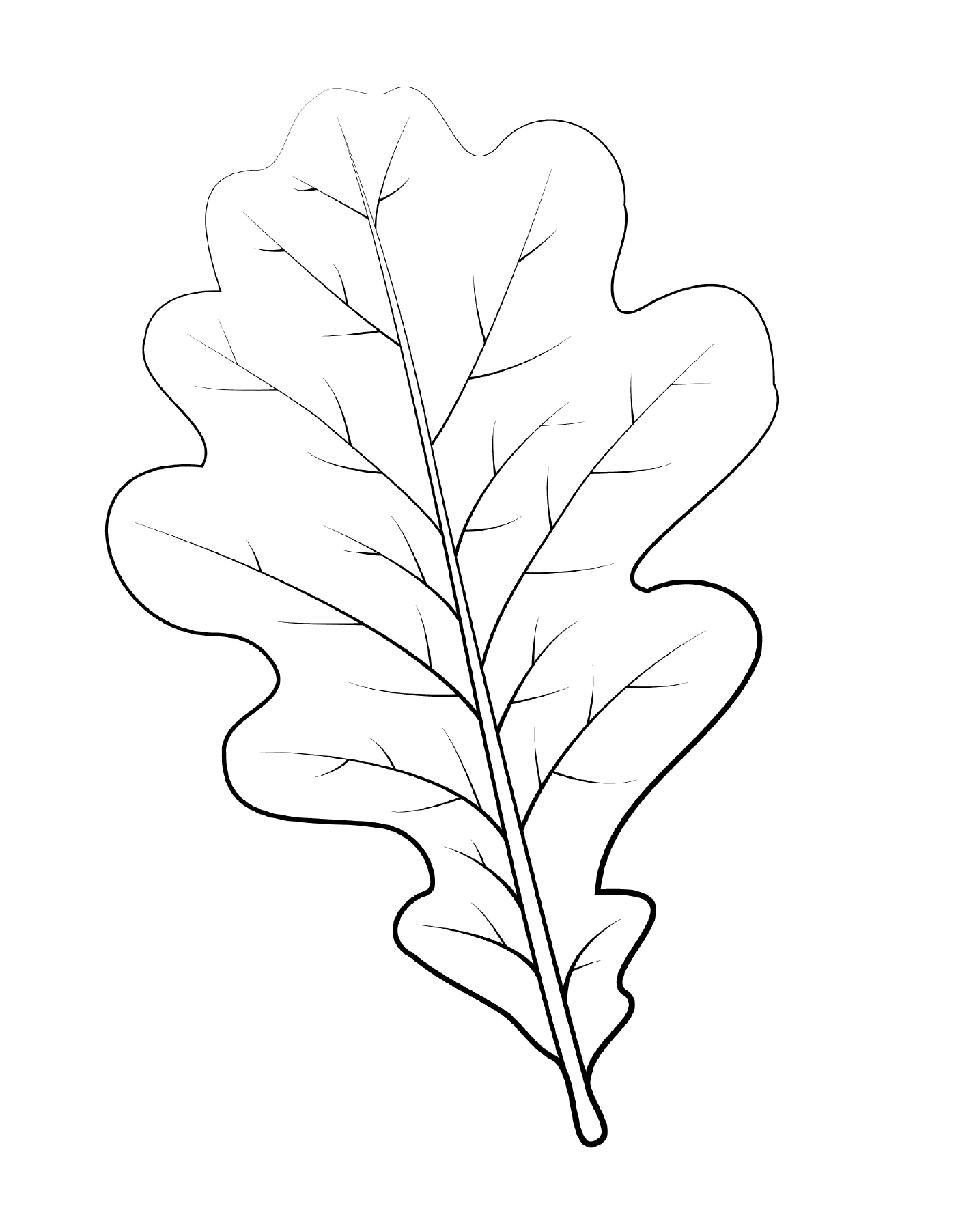  English oak leaf 