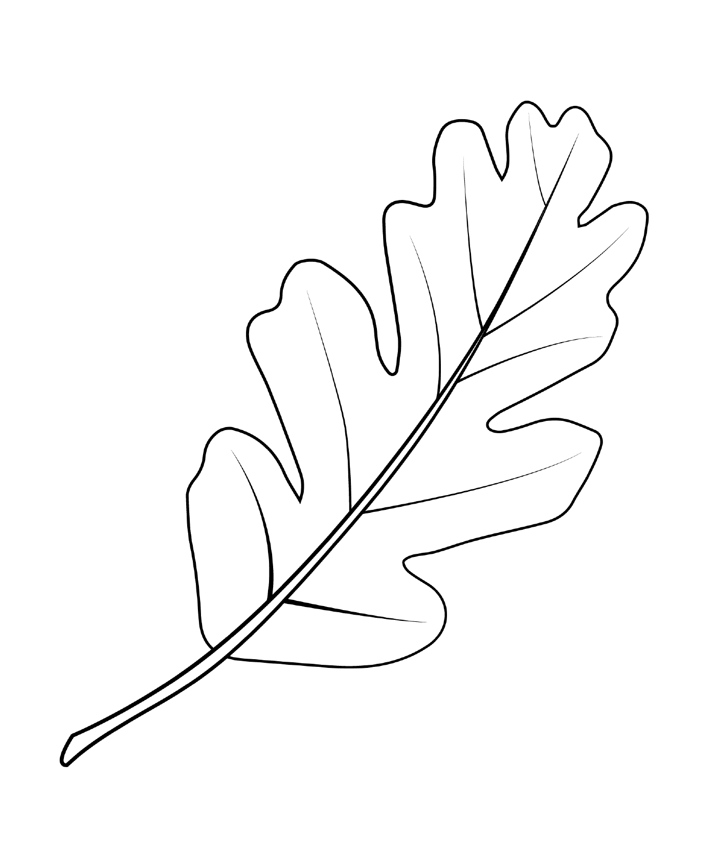  Оковый лист долины 