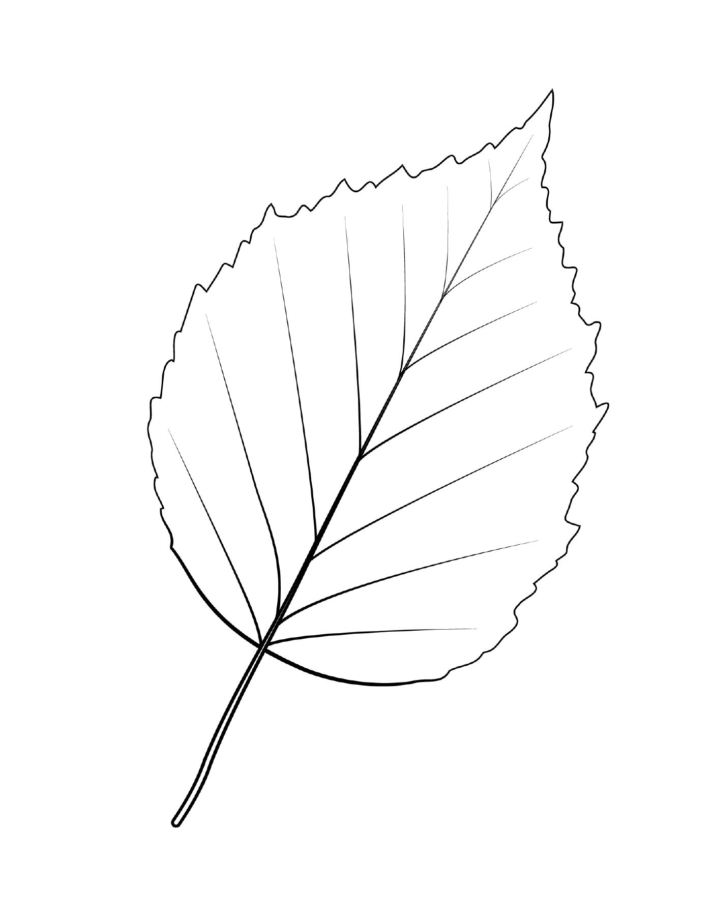  Бумажный листок березы 