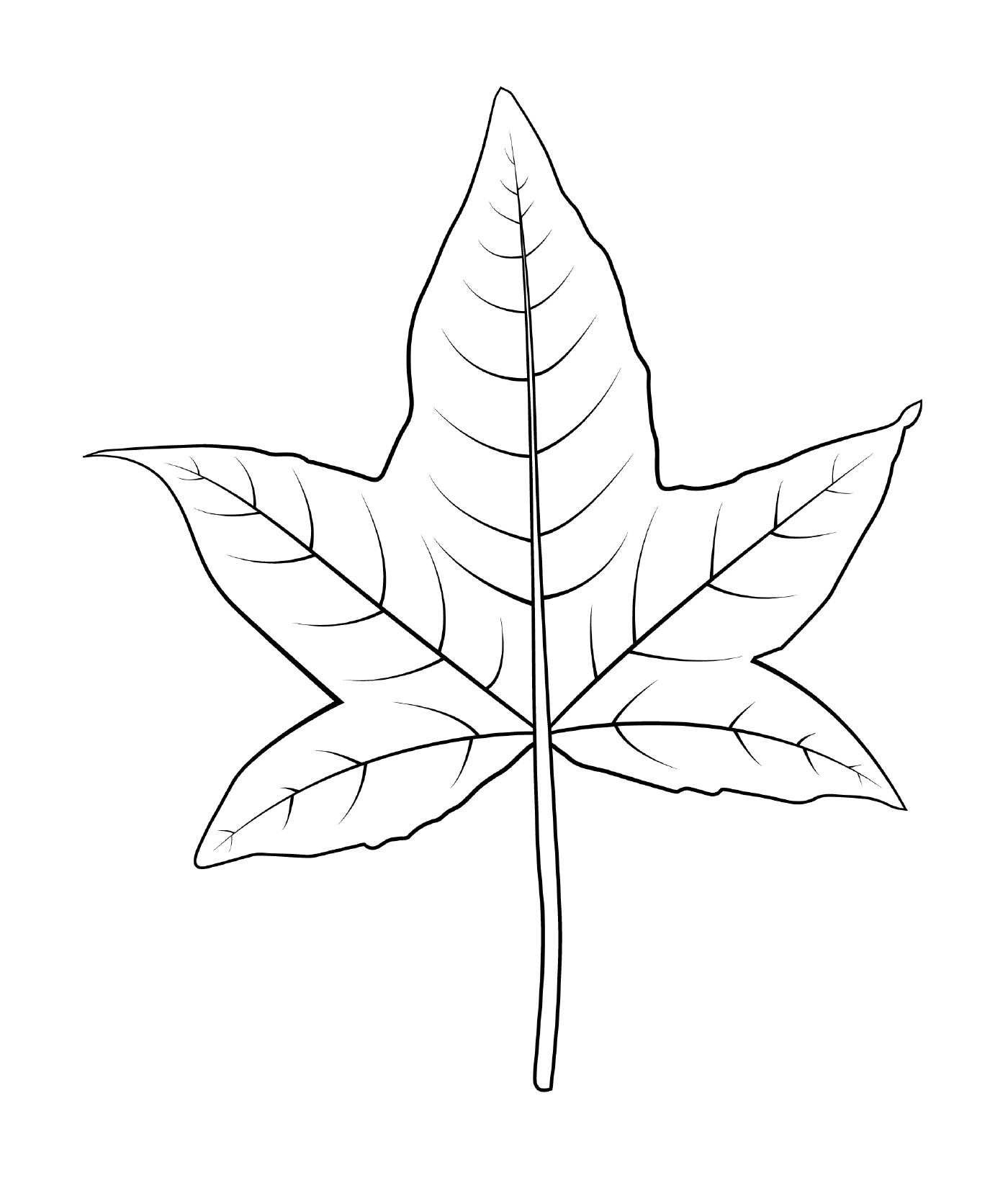  Plum leaf 