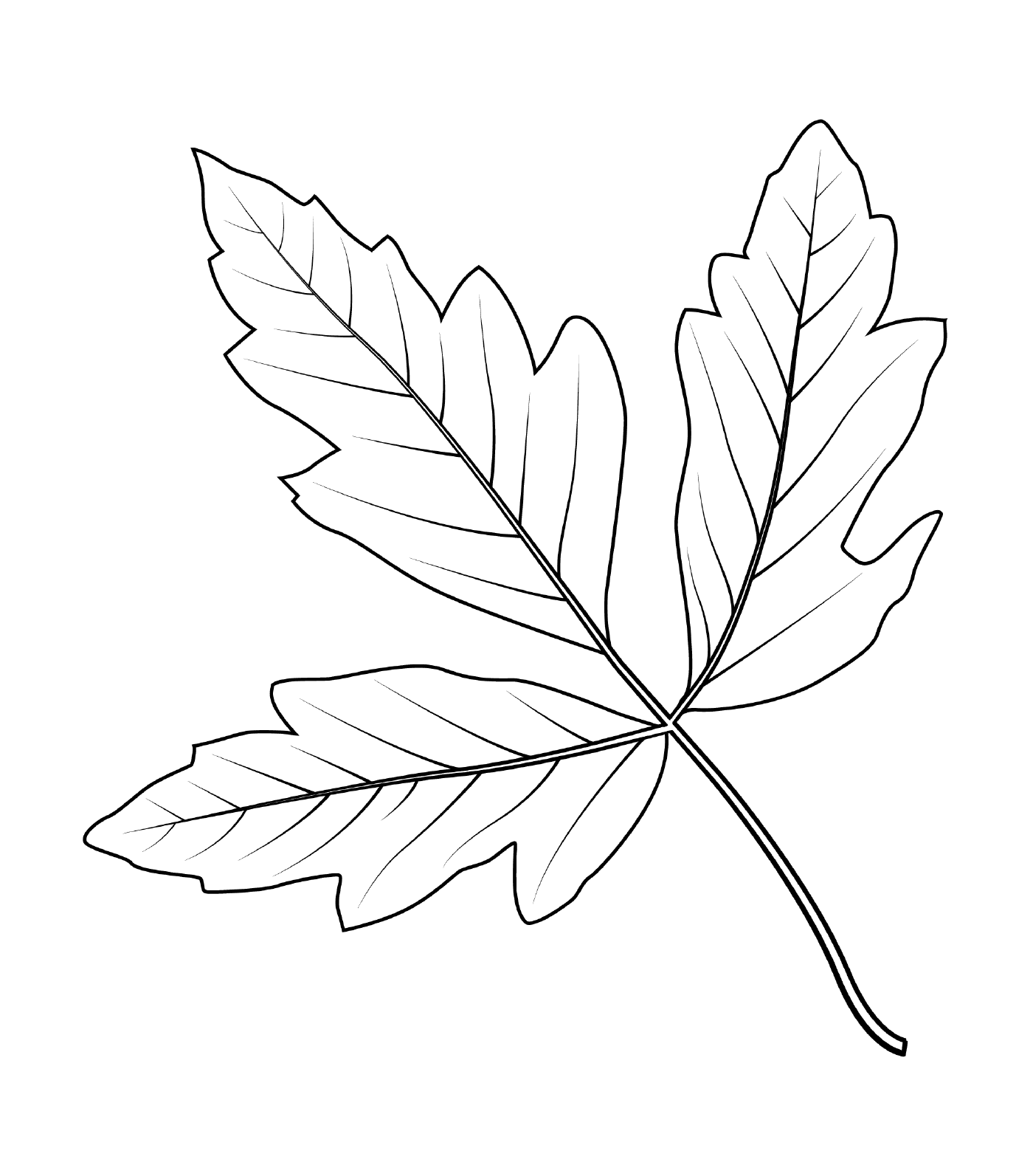 Кленовые листья с корой 