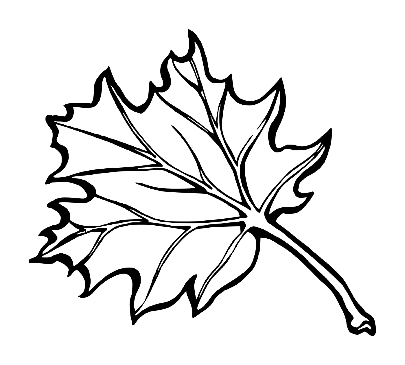  Осенний кленовый лист Канады 