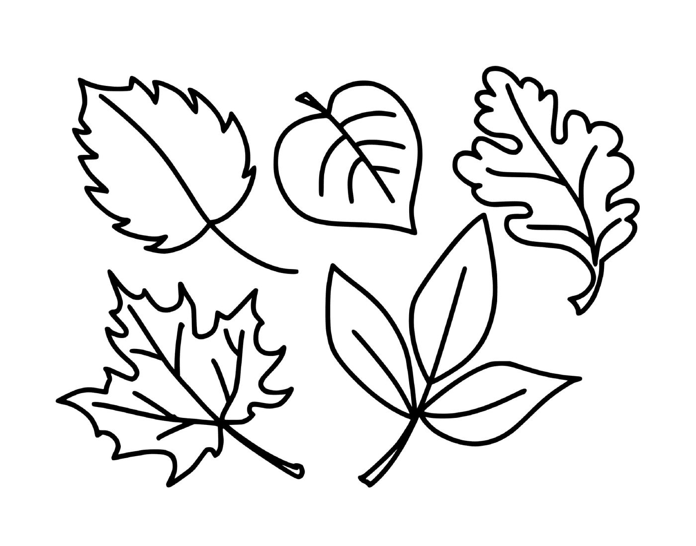  Several cartoons of the autumn season 