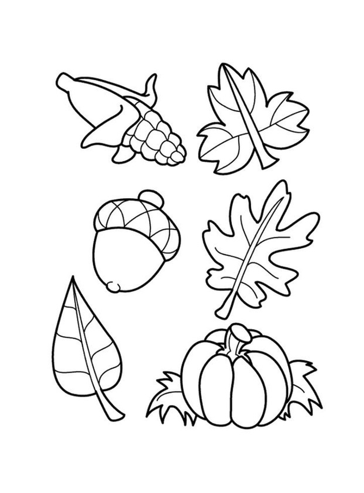  Diversi tipi di foglie autunnali 
