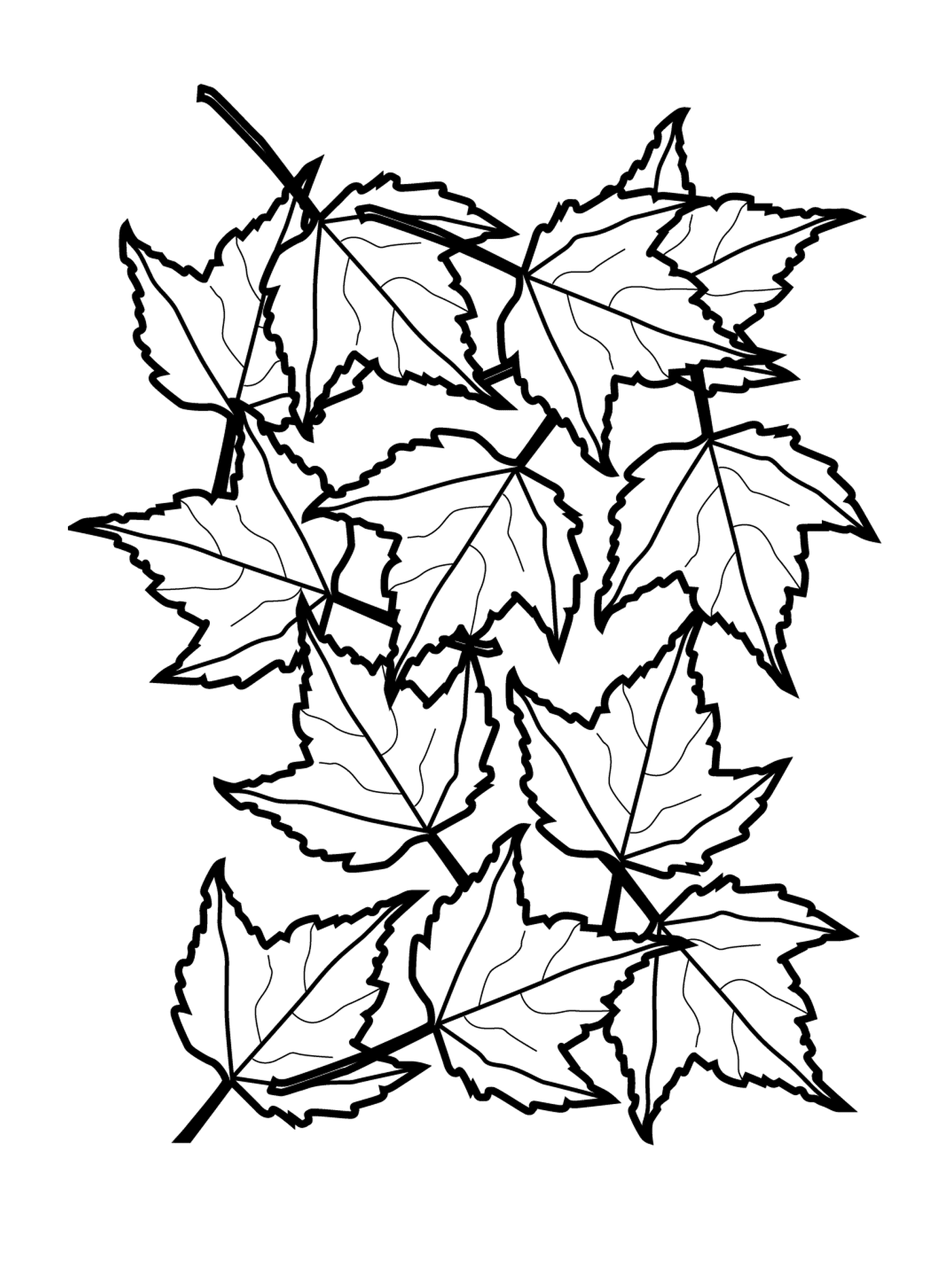  Línea de una multitud de hojas de otoño 