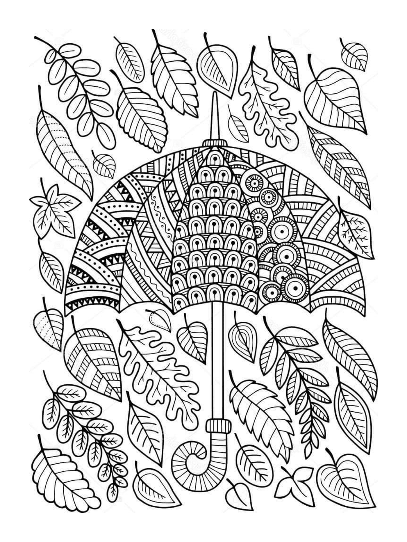  Adulto di ombrello circondato da foglie autunnali 
