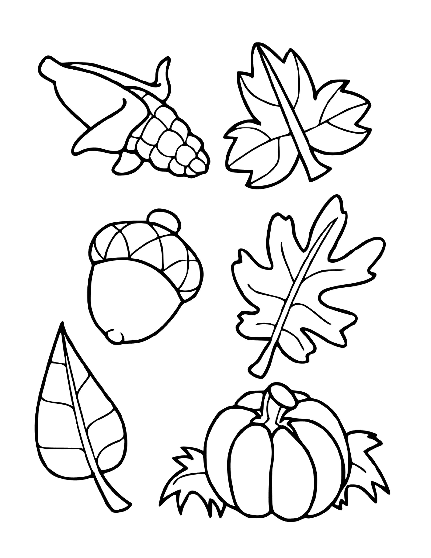  Sechs verschiedene Blätter gezeichnet 