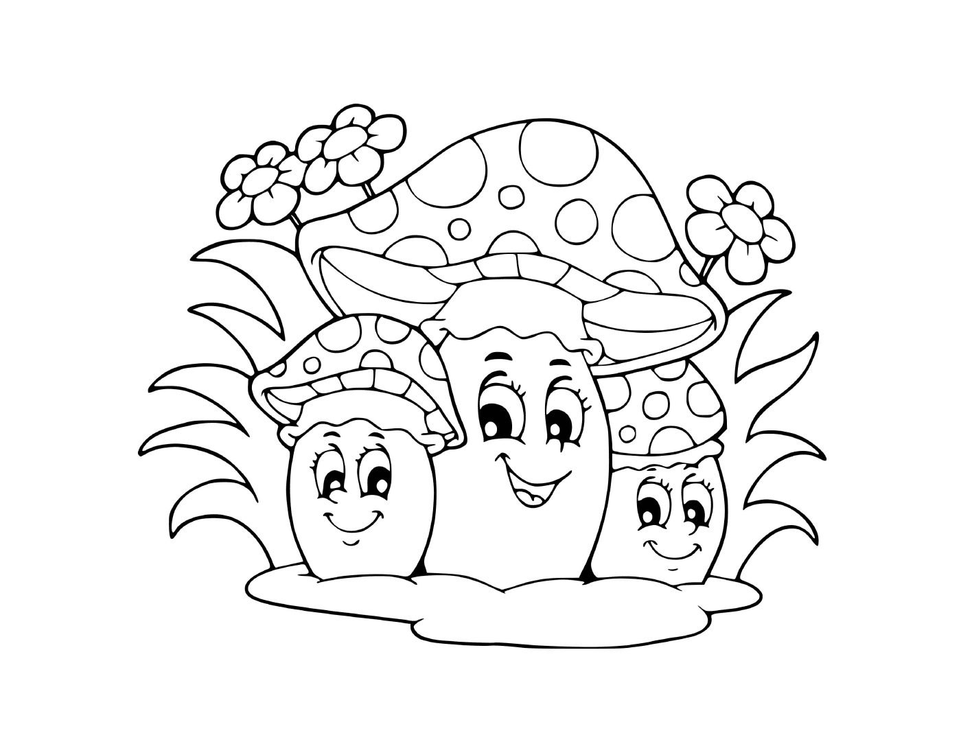  Drei Pilze 