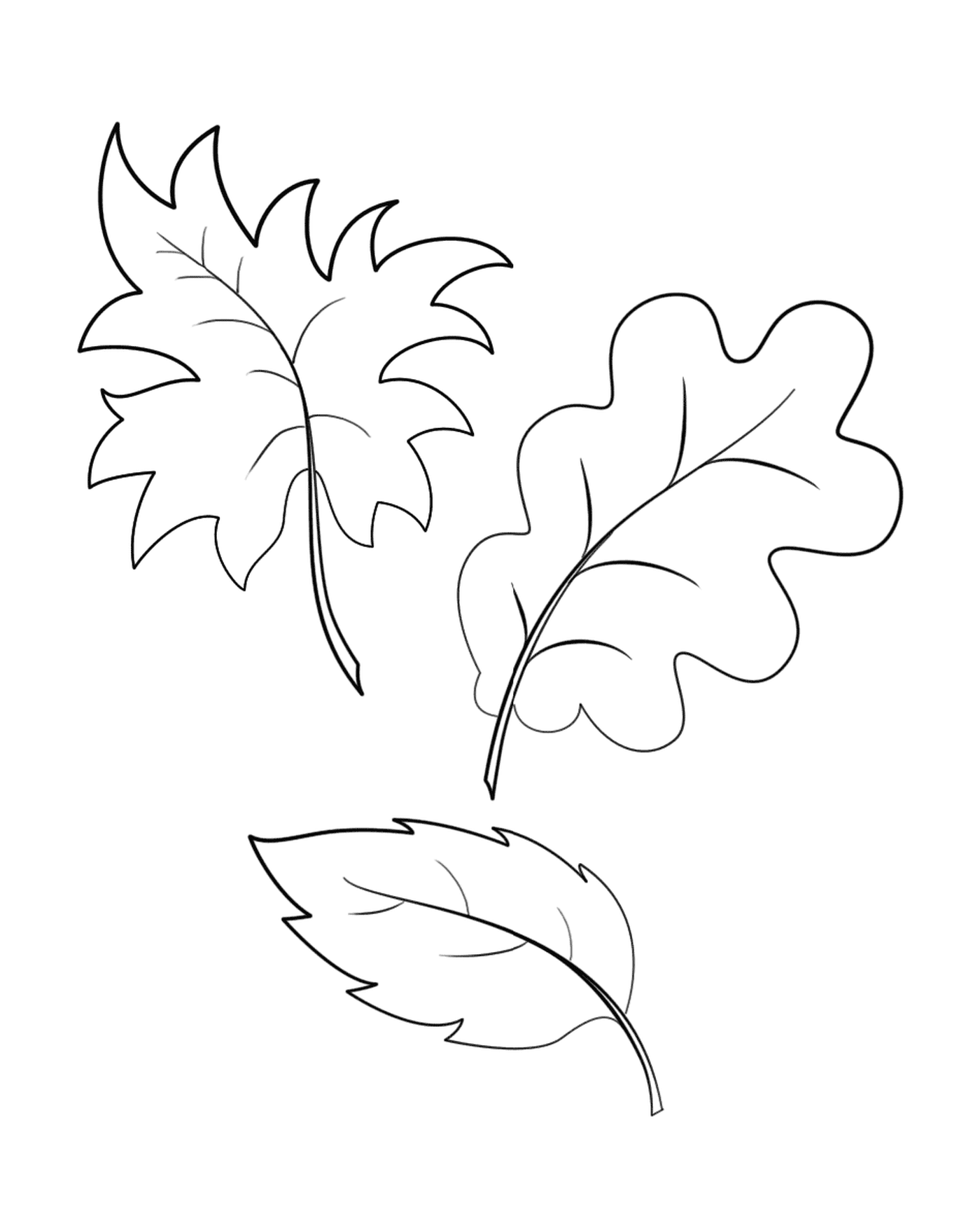 Tres hojas dibujadas 
