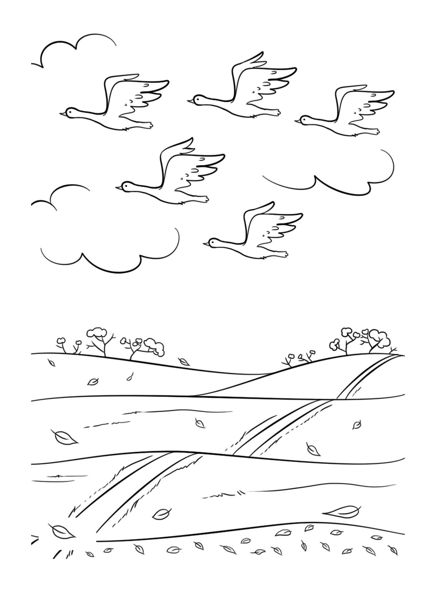  Группа птиц летает над полем 