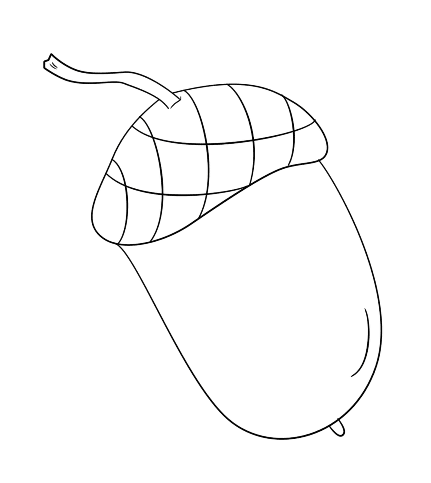  Un glande sobre un fondo blanco 