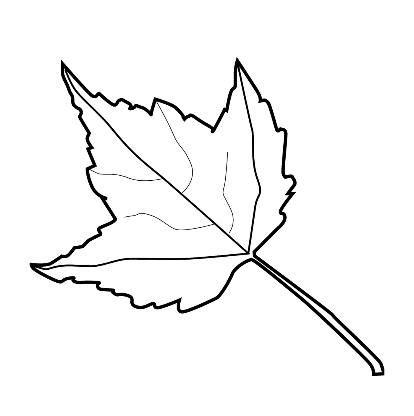  A maple leaf 