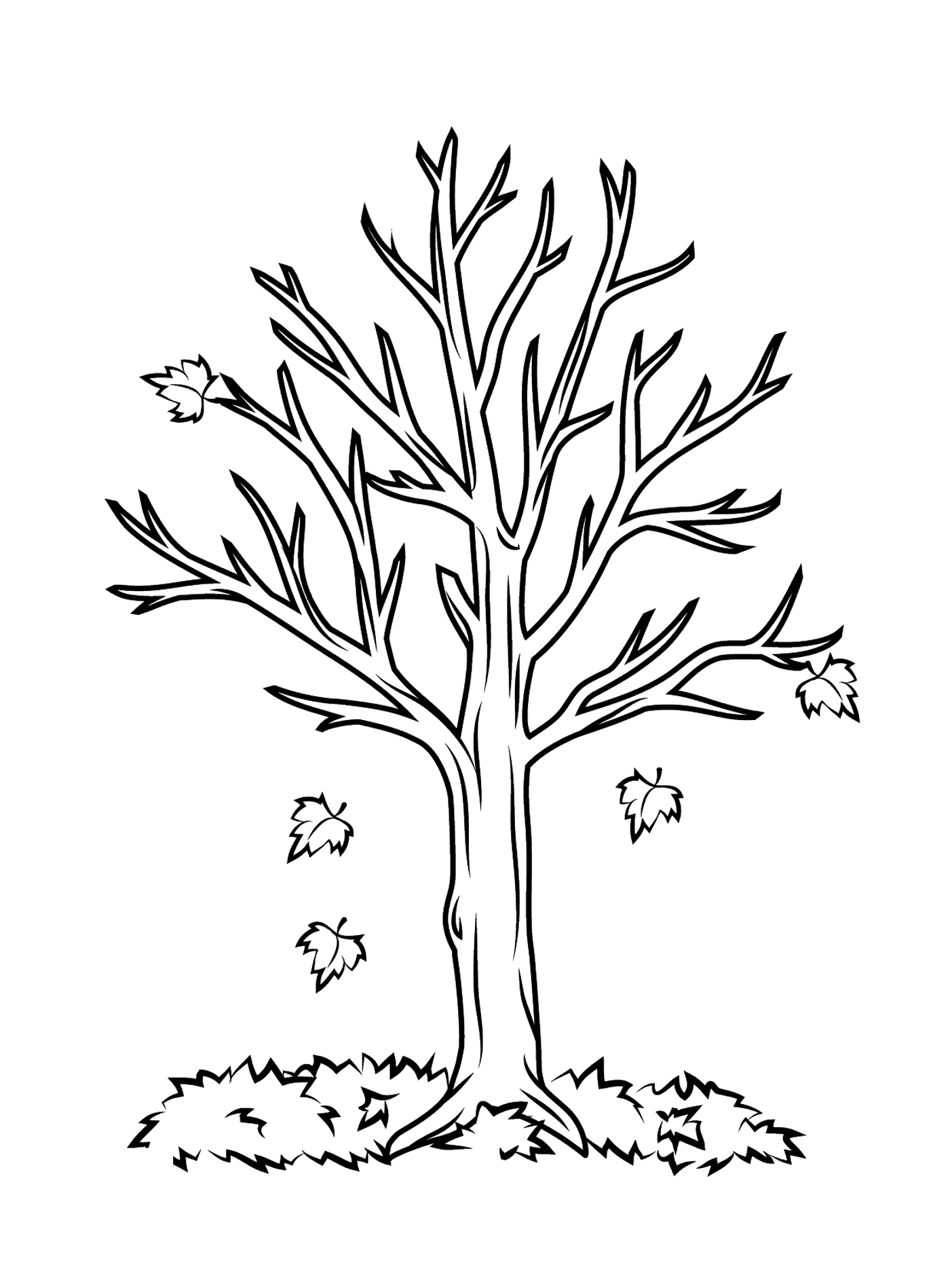  Ein nackter Baum 