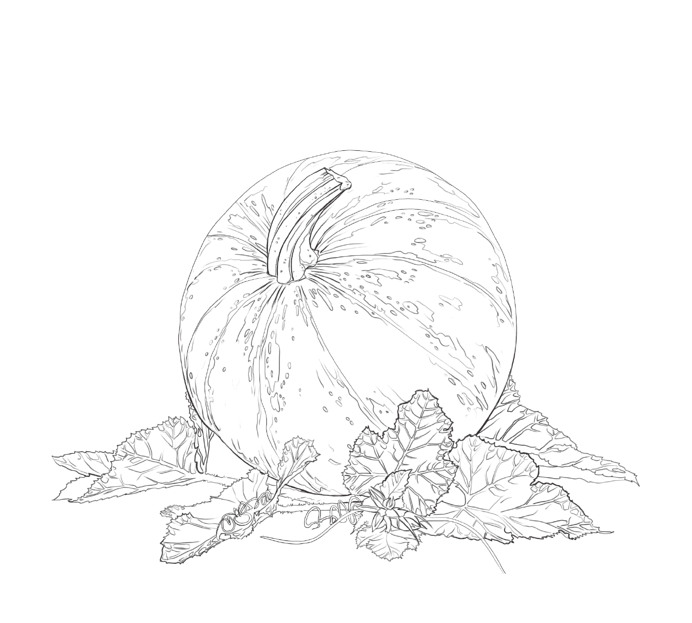  A pumpkin surrounded by leaves 