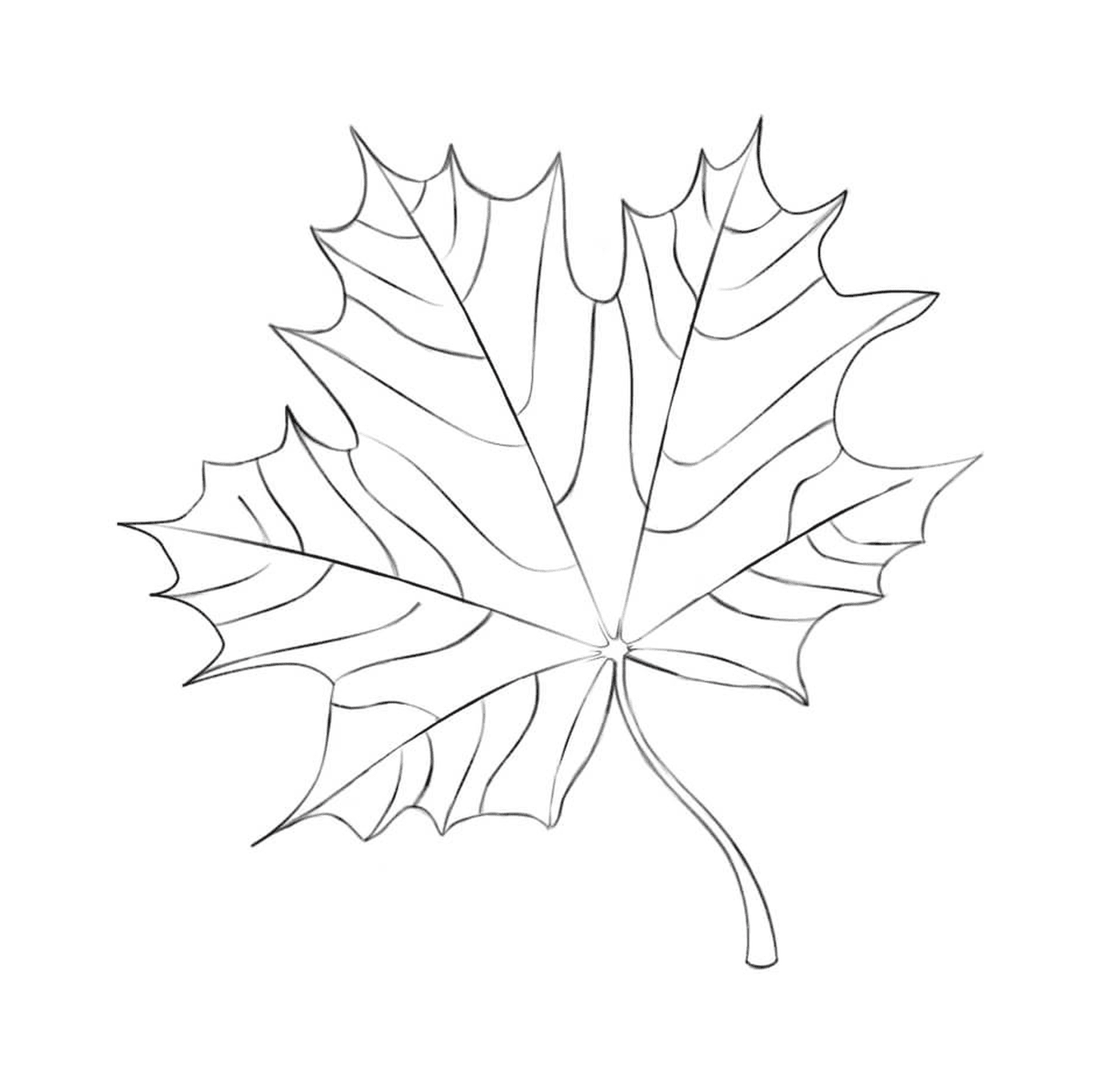  Нарисованный кленовый лист 