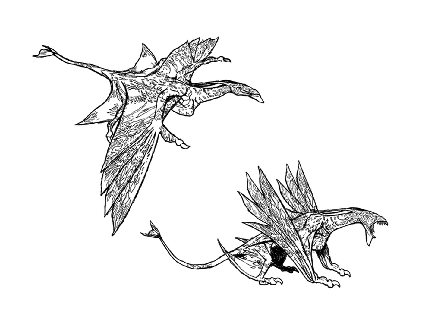  Dos dibujos de un dragón de alas extendidas 