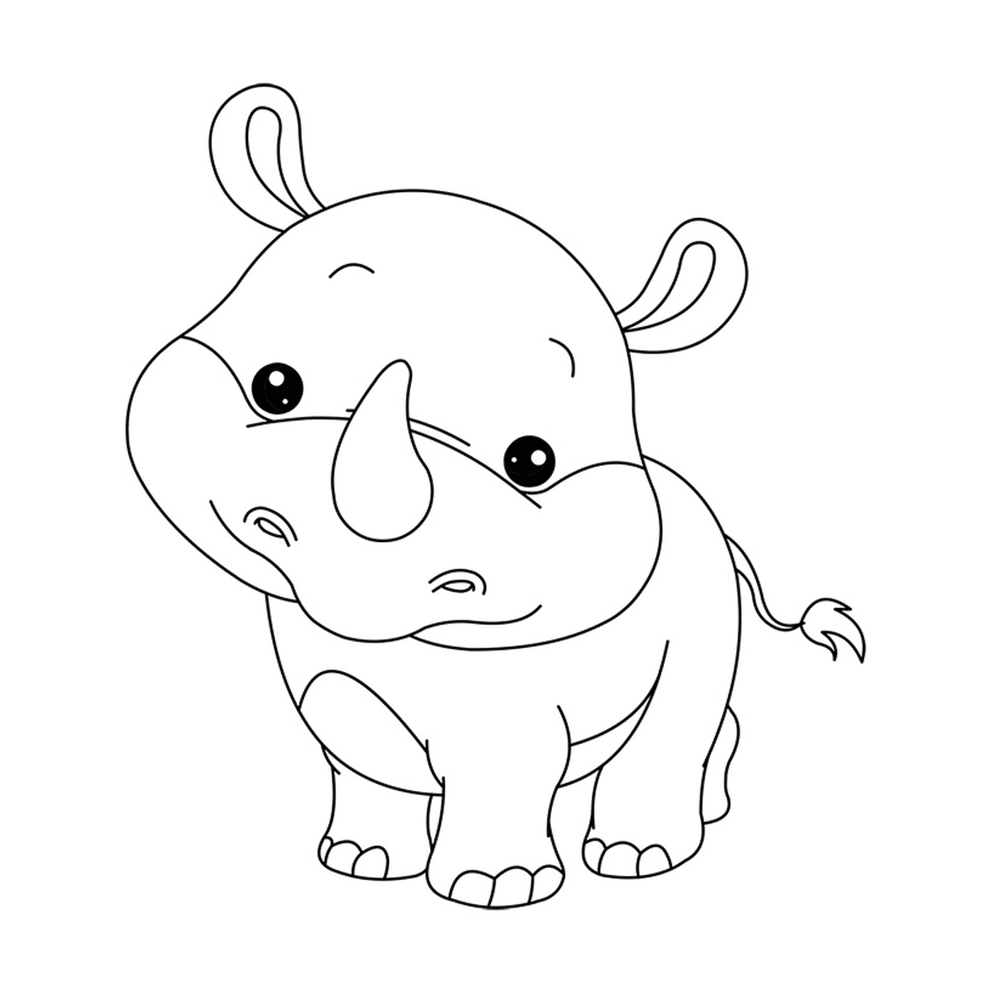  Маленький носорог смотрит в камеру 
