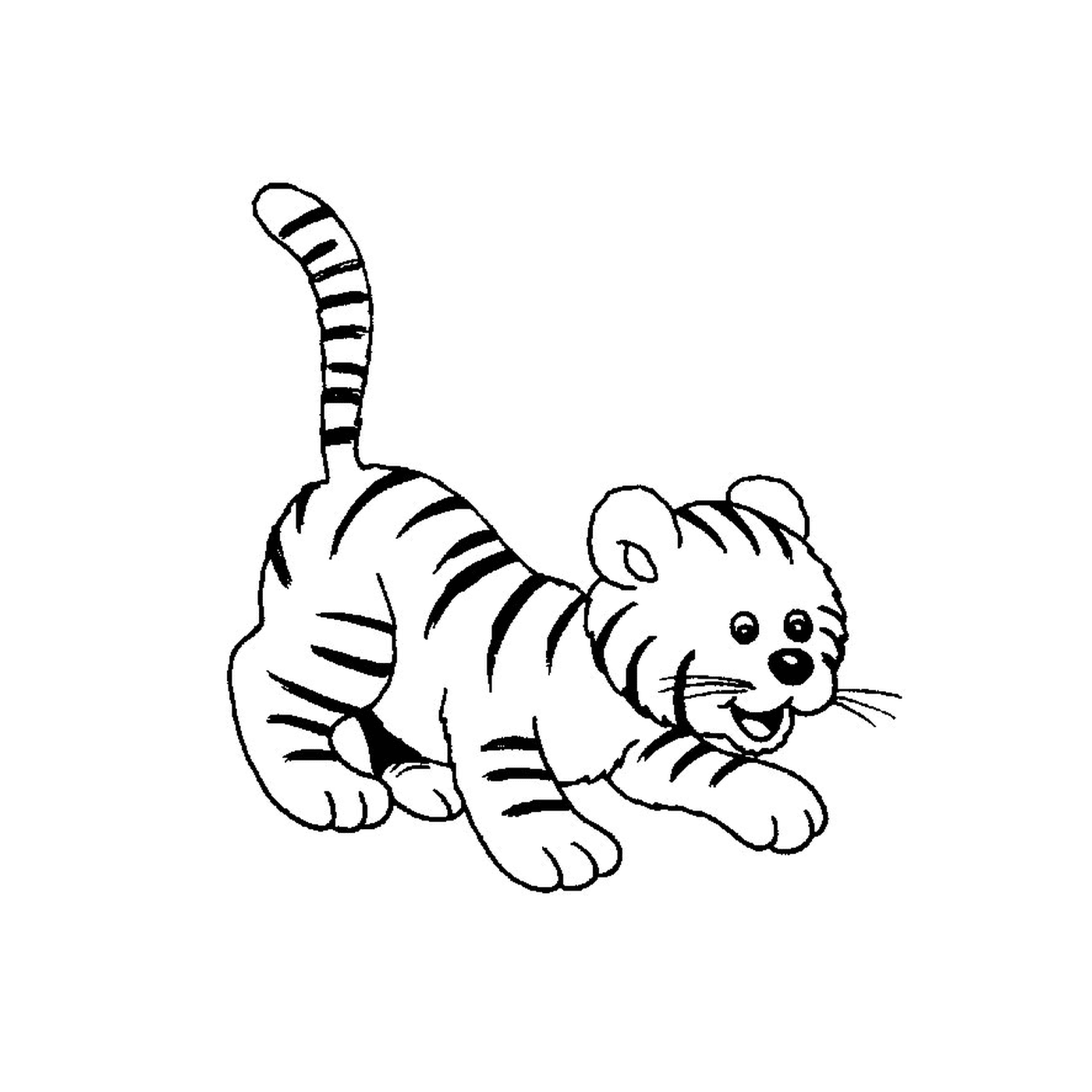  A baby tiger 
