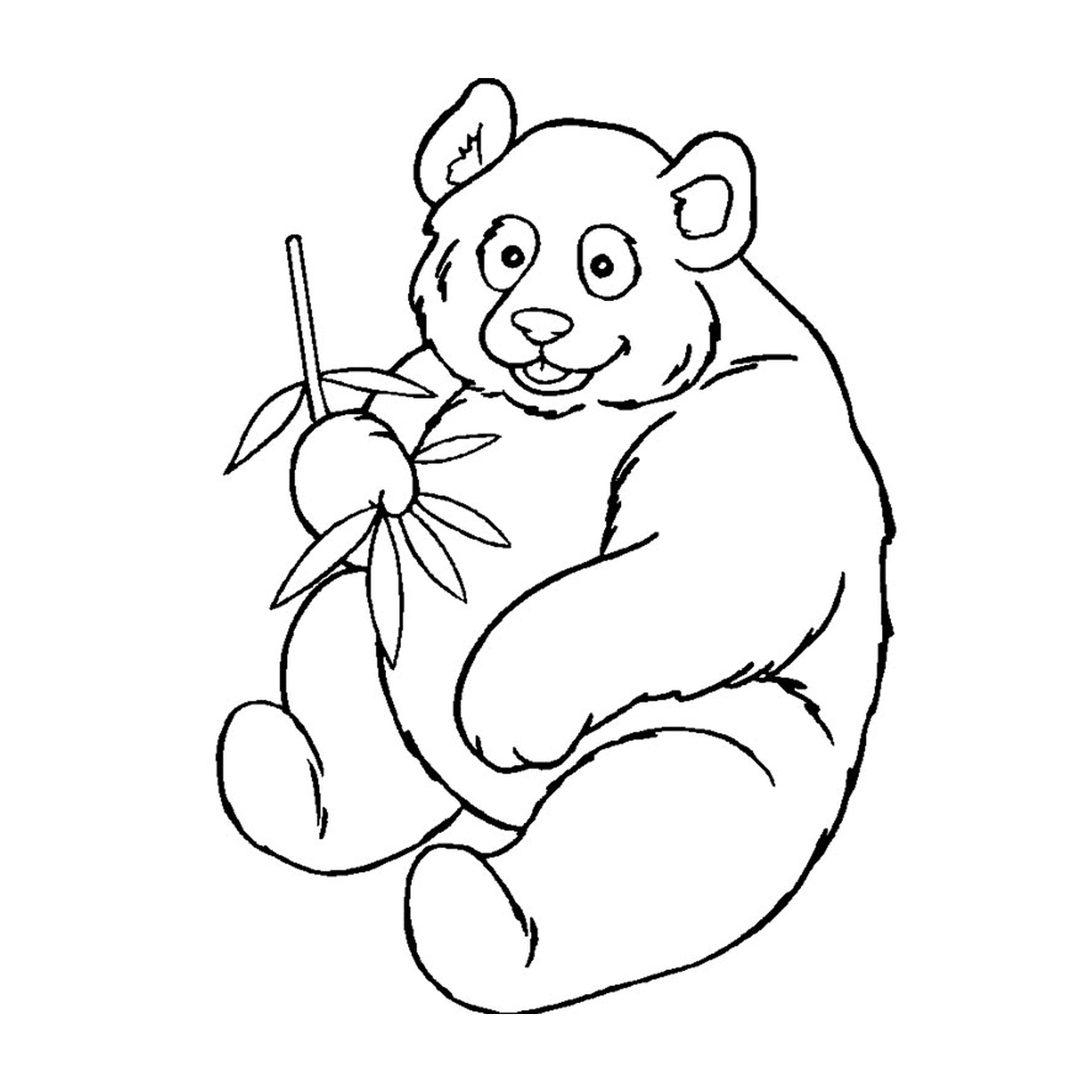  Bambù snacking giovane panda 