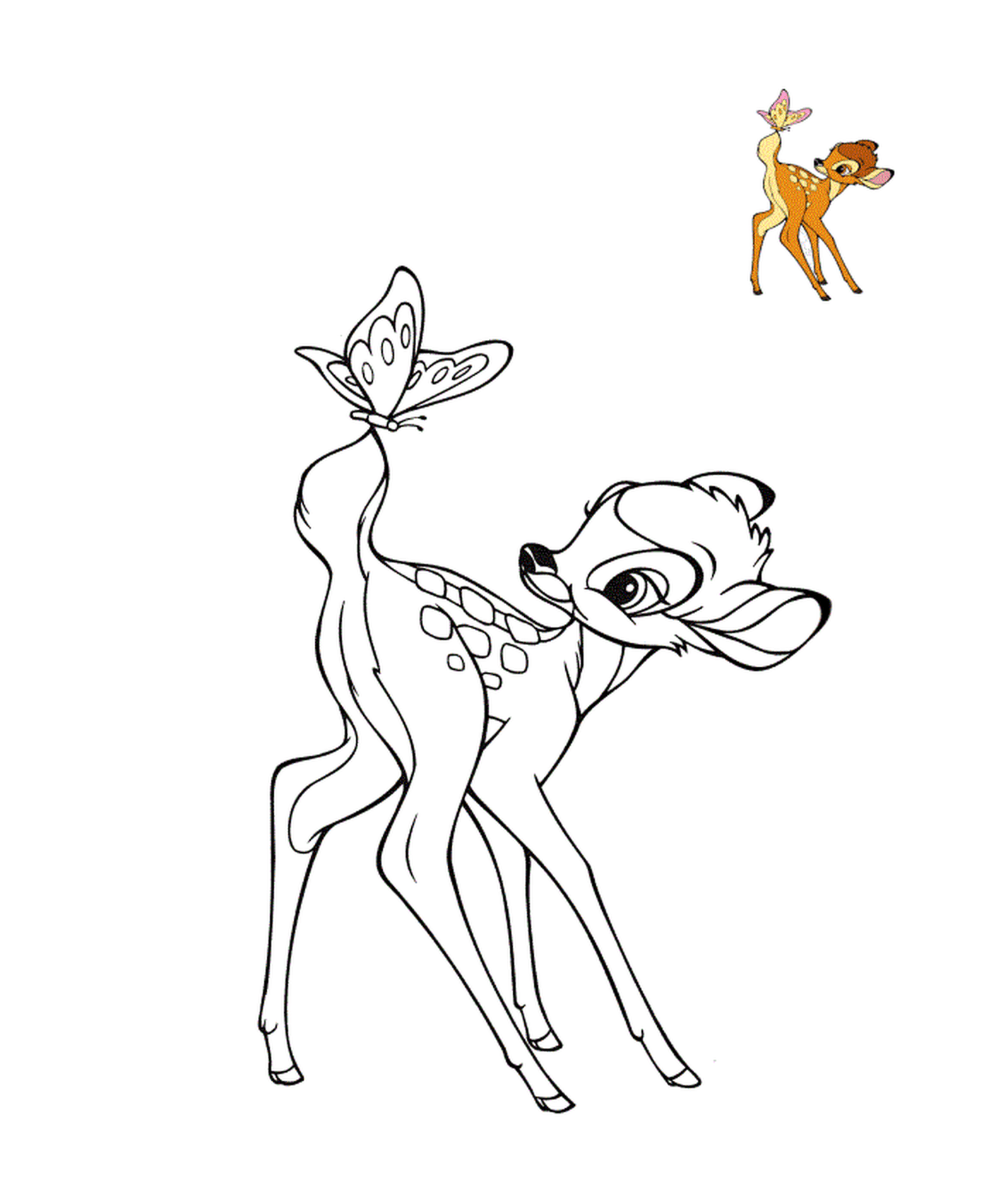  a deer and a butterfly 