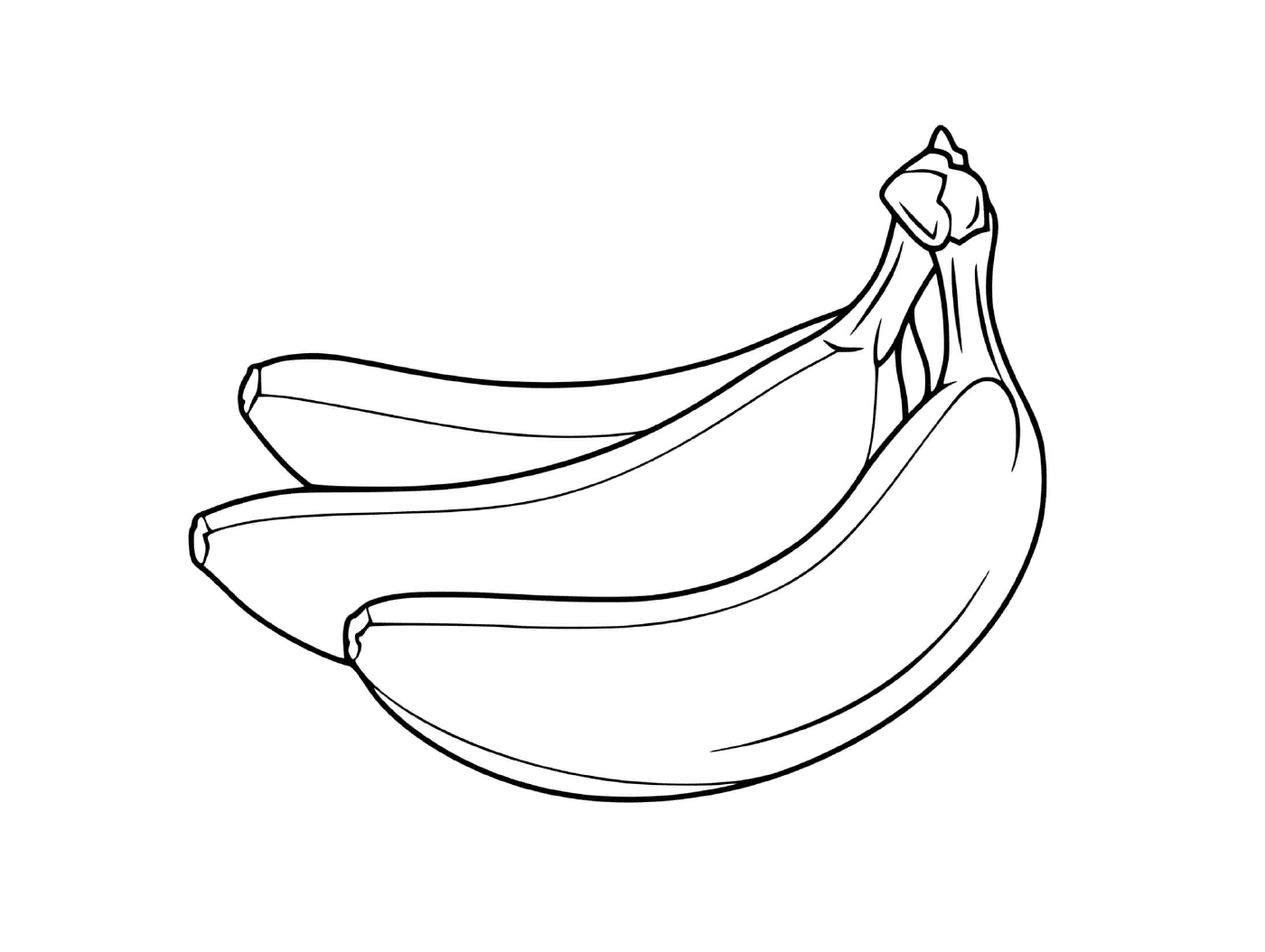  Two bananas on a white background 