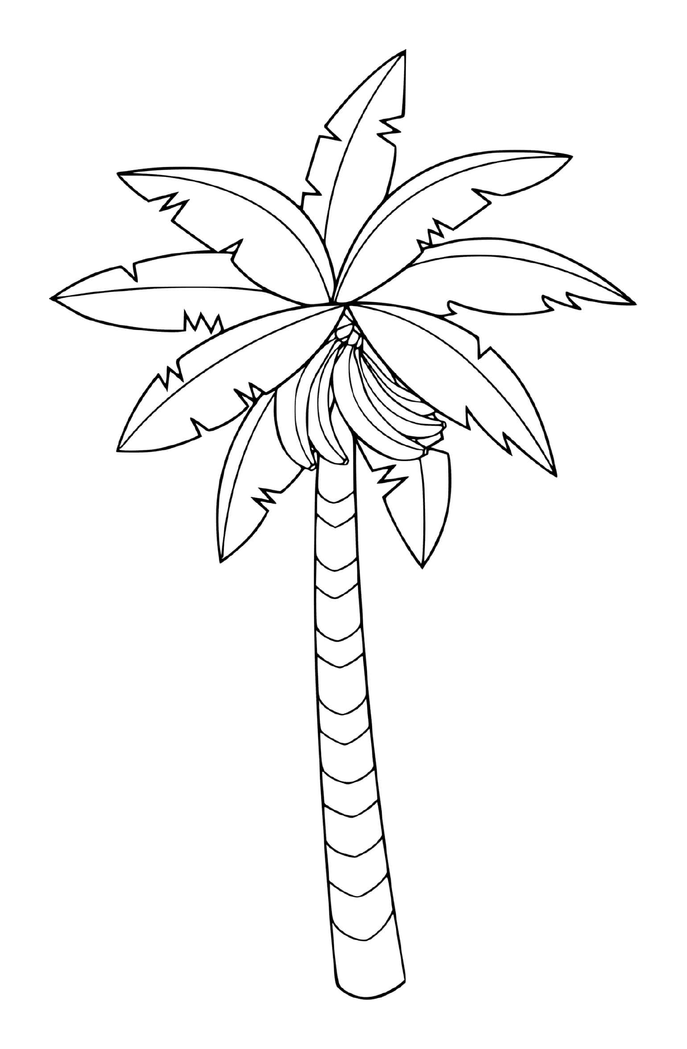 Eine Palme 