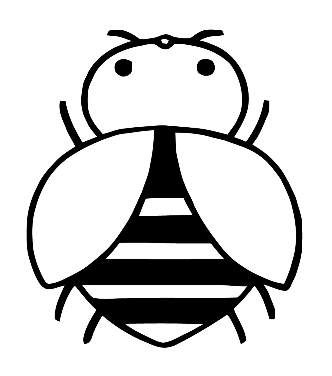  Nützliche heimische Biene 