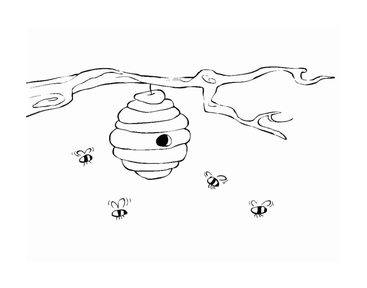  Bee bee natural habitat 