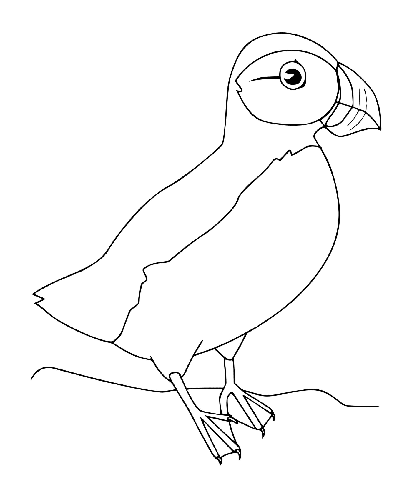  Vogel 