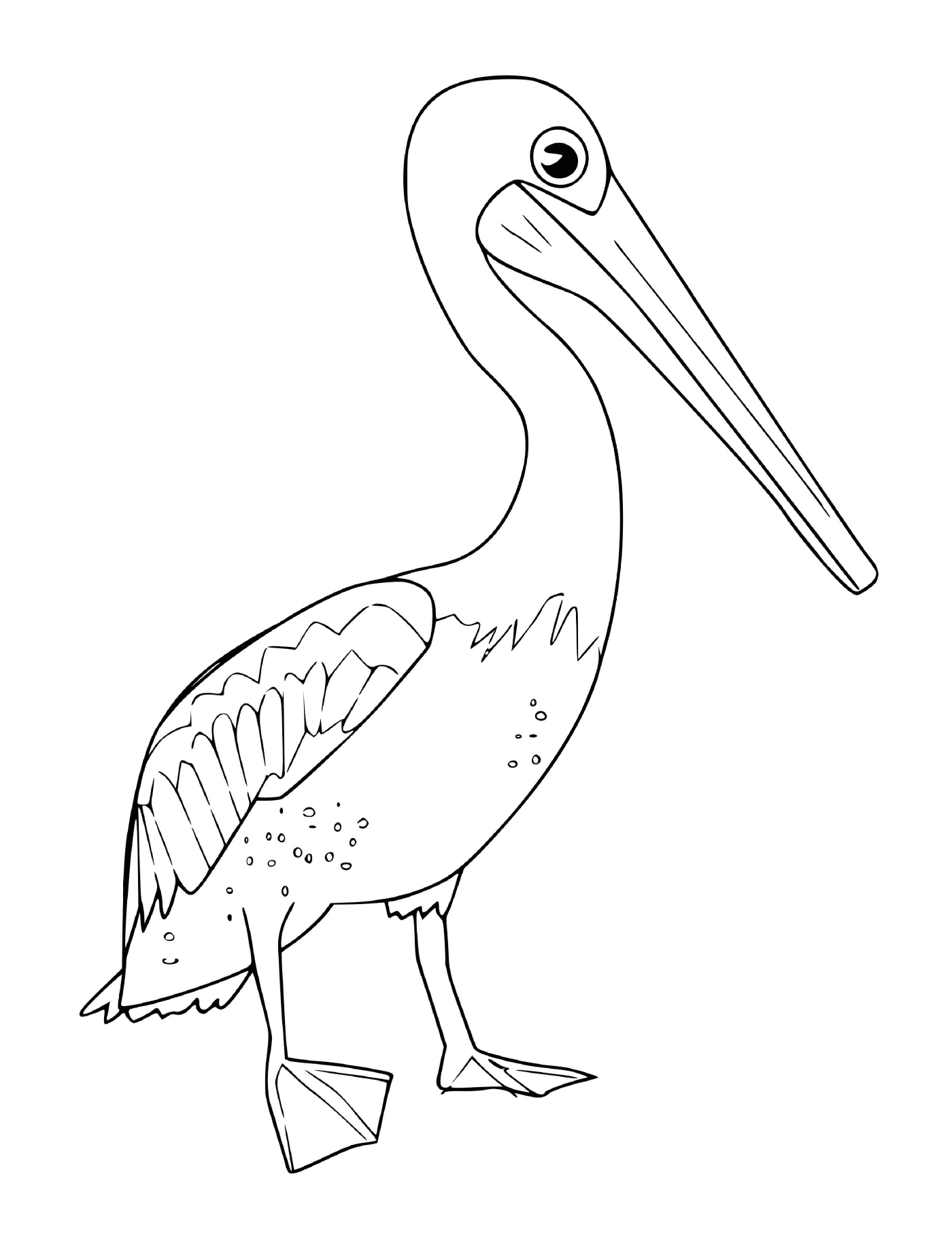  Пеликан 