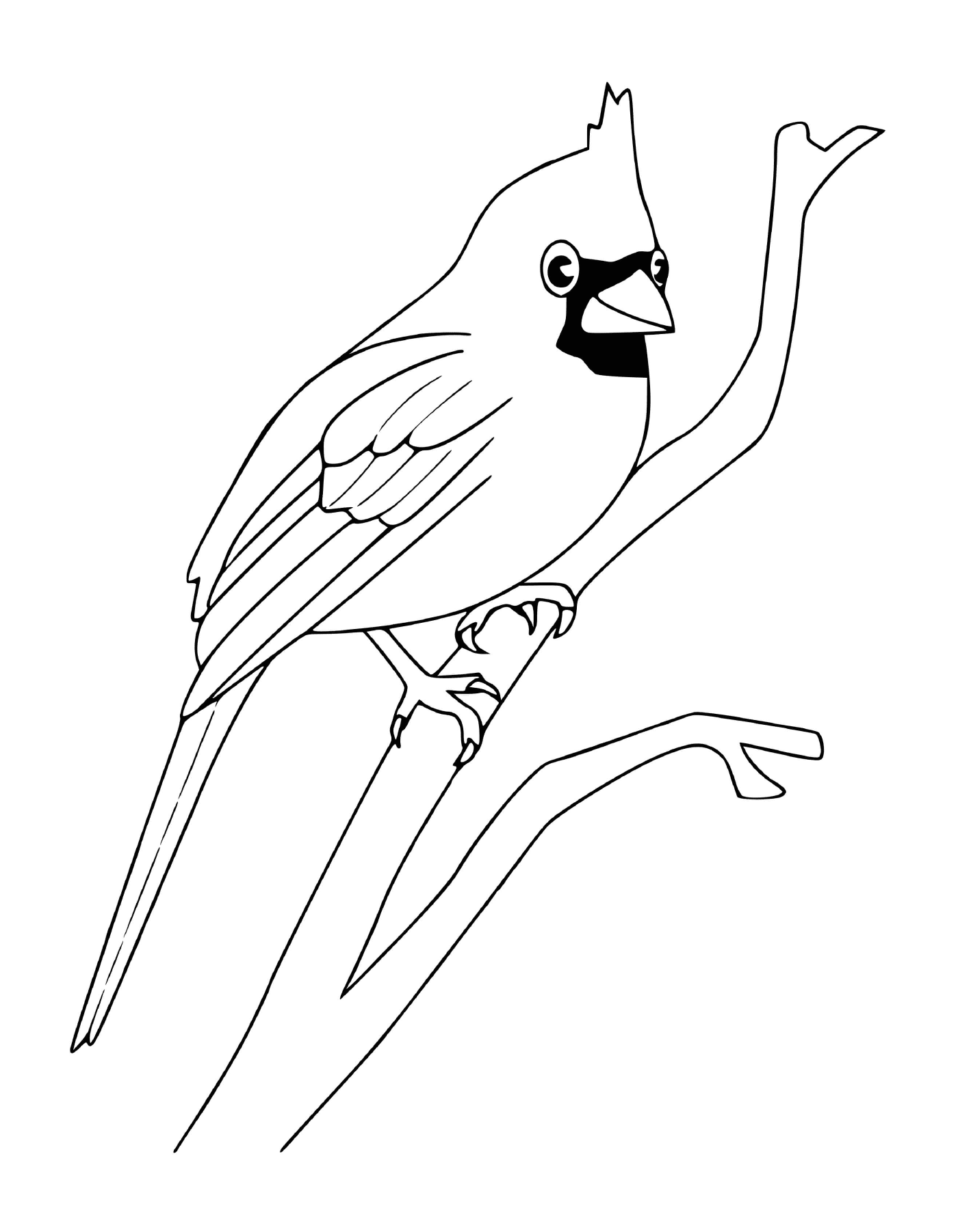  pájaro posado en una rama de árbol 